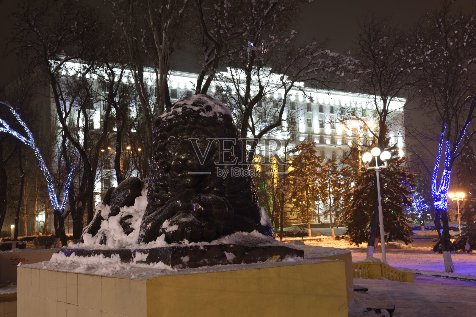 黑狮蛰伏除夕照片摄影图片