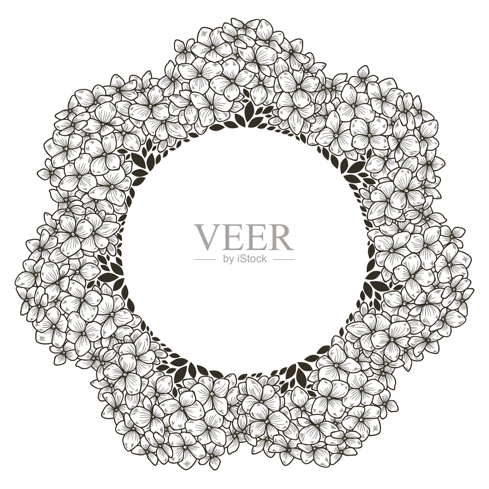 矢量框架与绣球花。插画图片素材