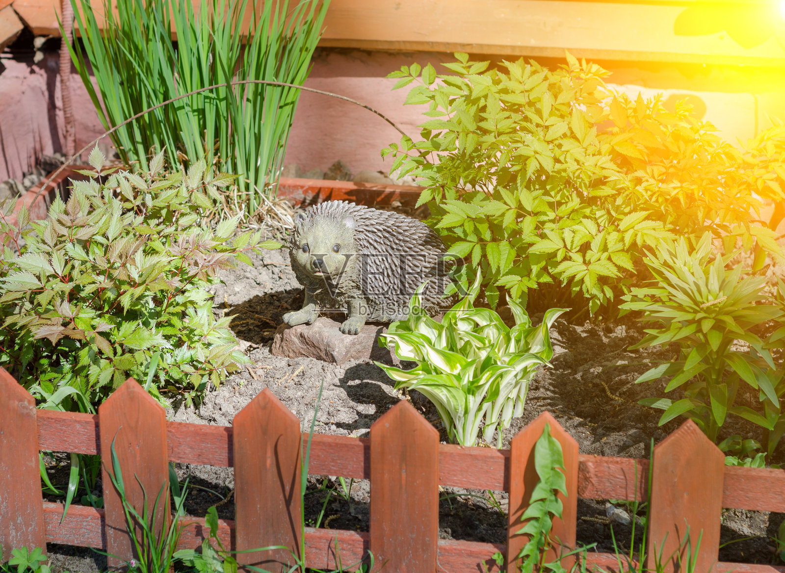 装饰花园刺猬照片摄影图片