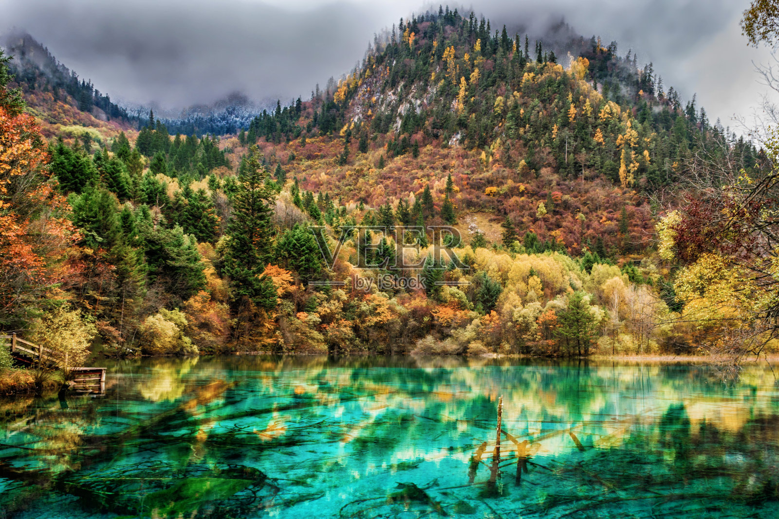 中国九寨沟国家公园的倒下的树木照片摄影图片