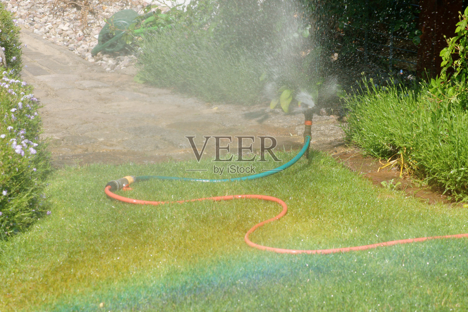 喷水灭火系统照片摄影图片