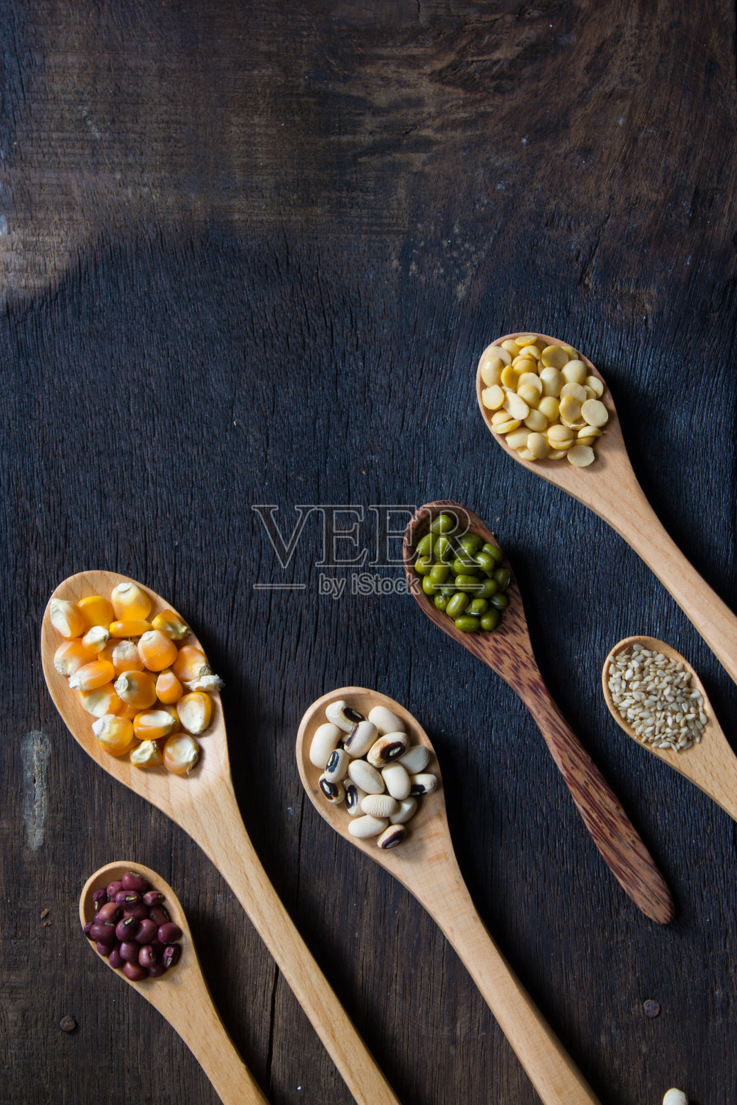 豆种子照片摄影图片