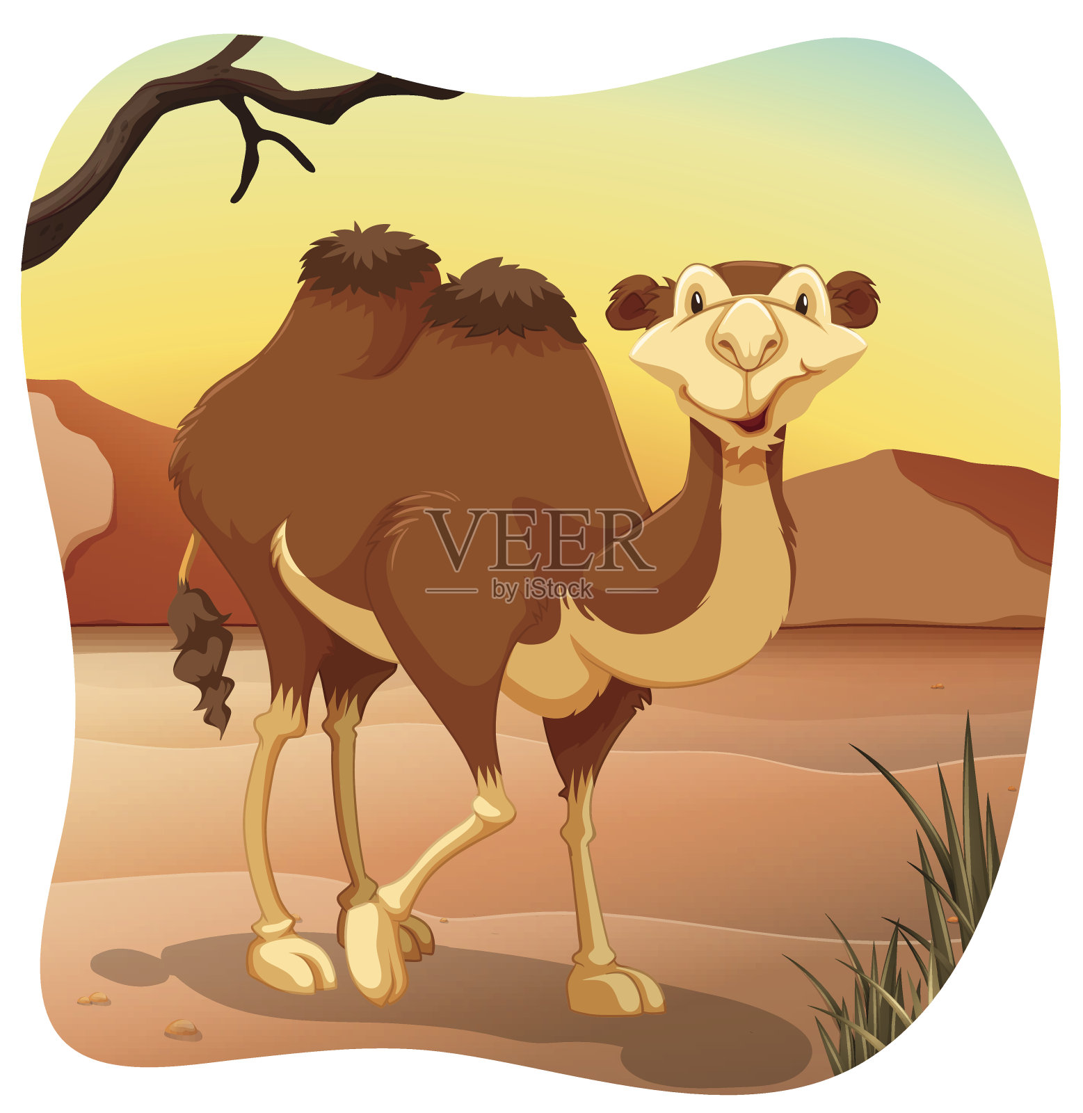 骆驼插画图片素材