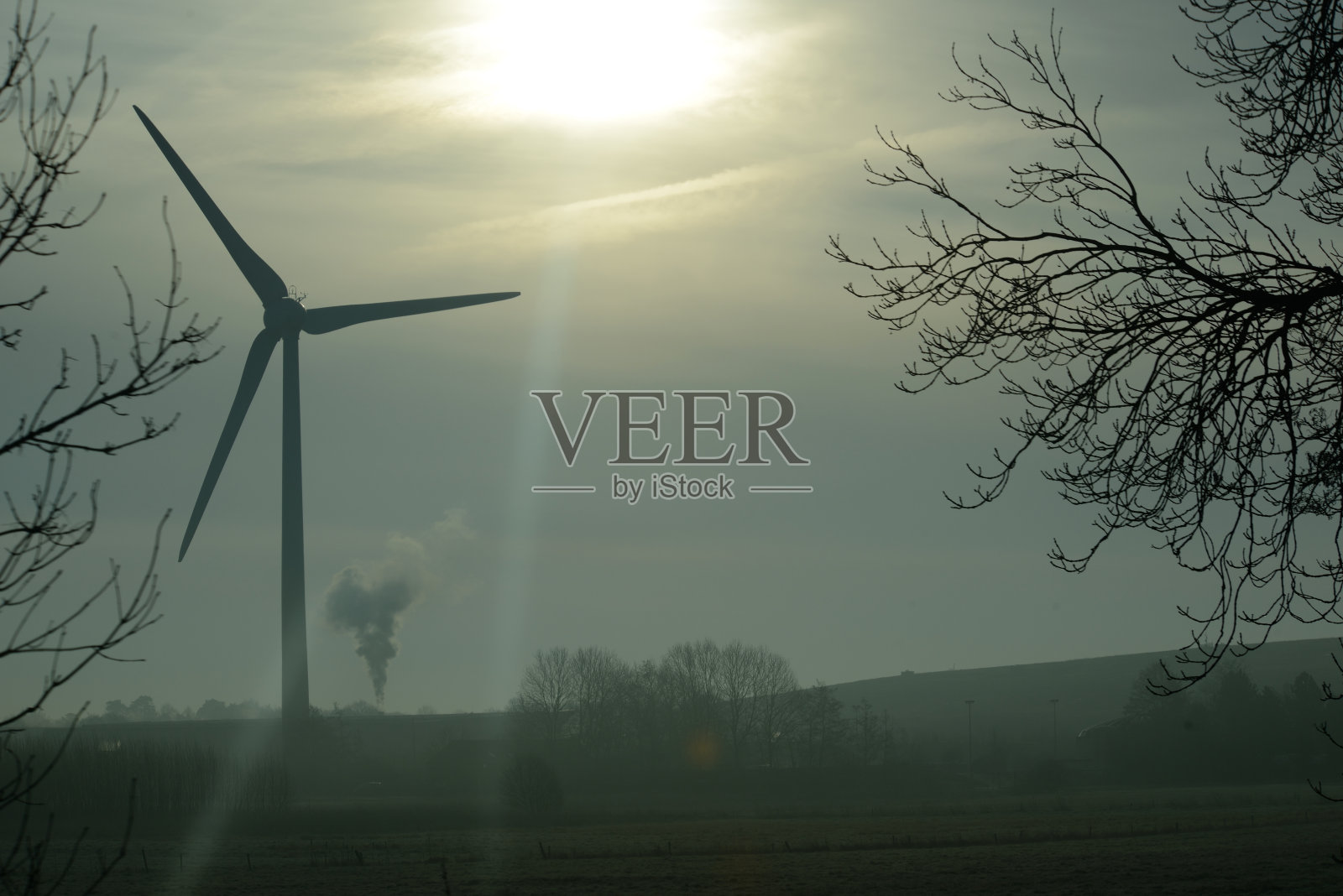 雾中有风照片摄影图片