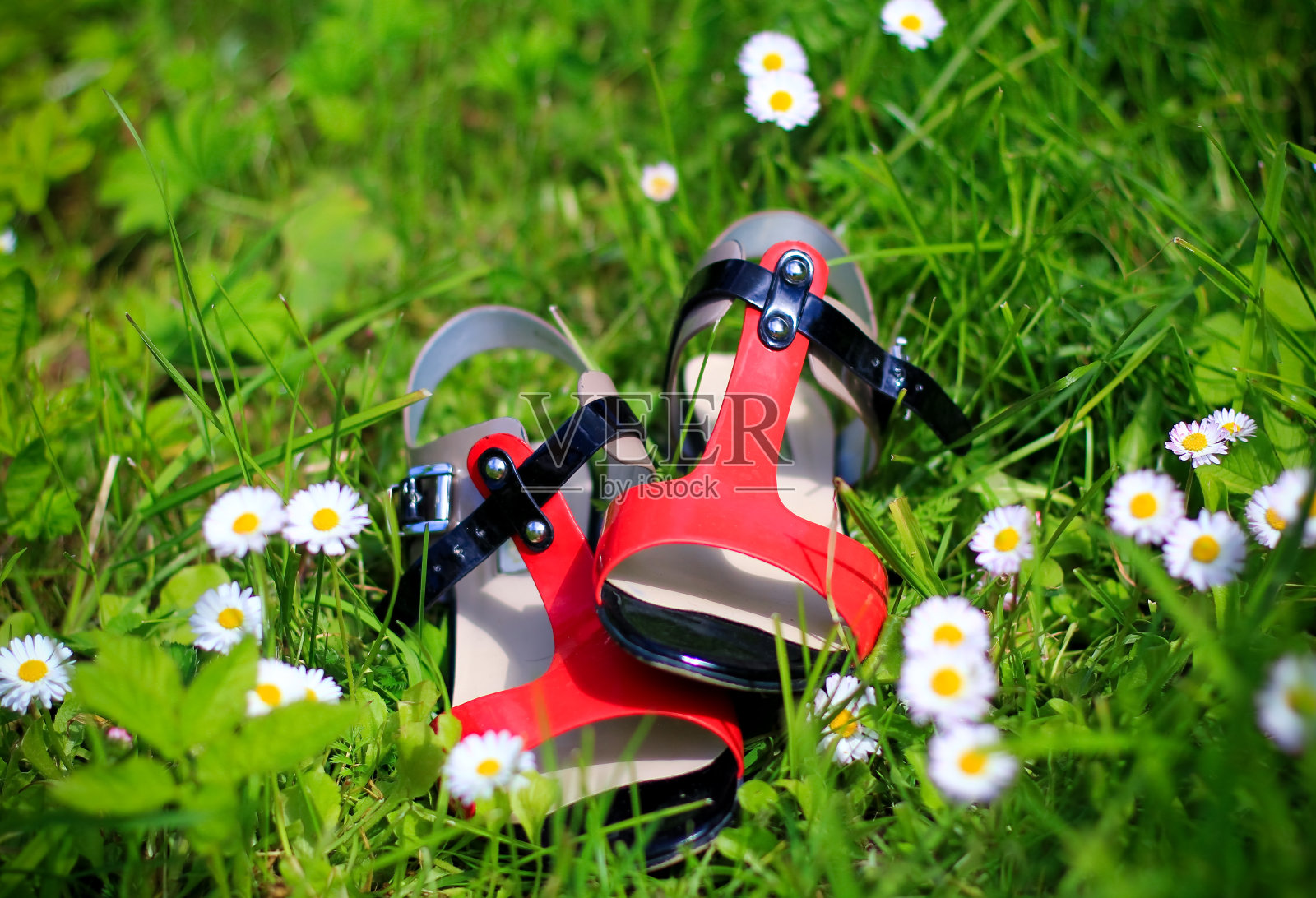 凉鞋照片摄影图片