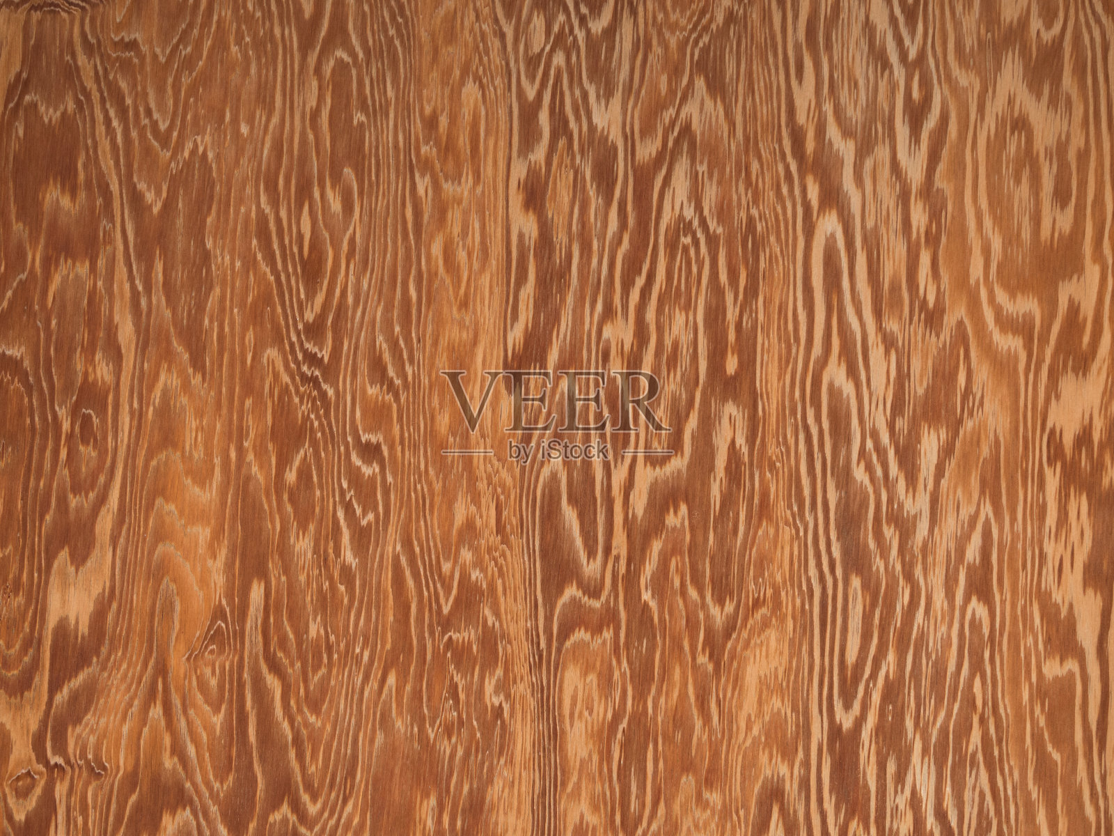 雪松木门照片摄影图片