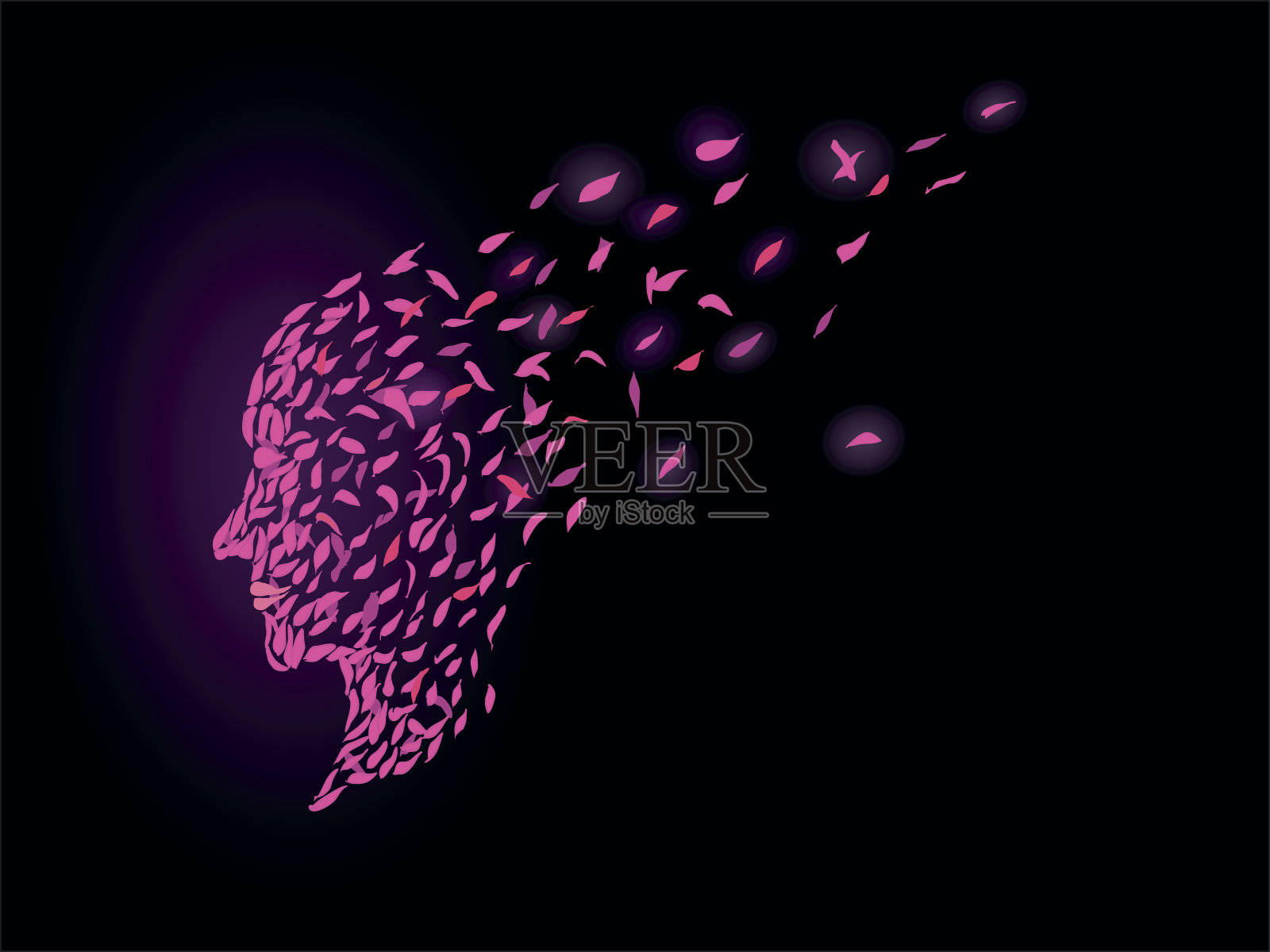 花瓣的脸插画图片素材