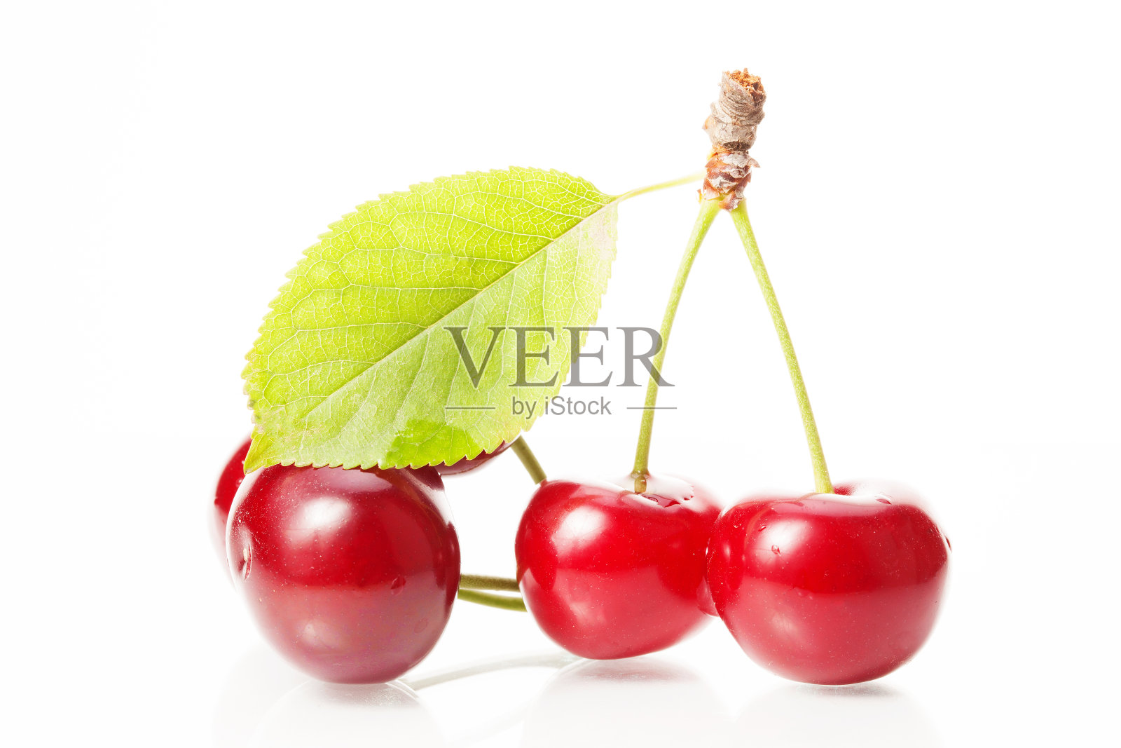 白色背景上的樱桃照片摄影图片