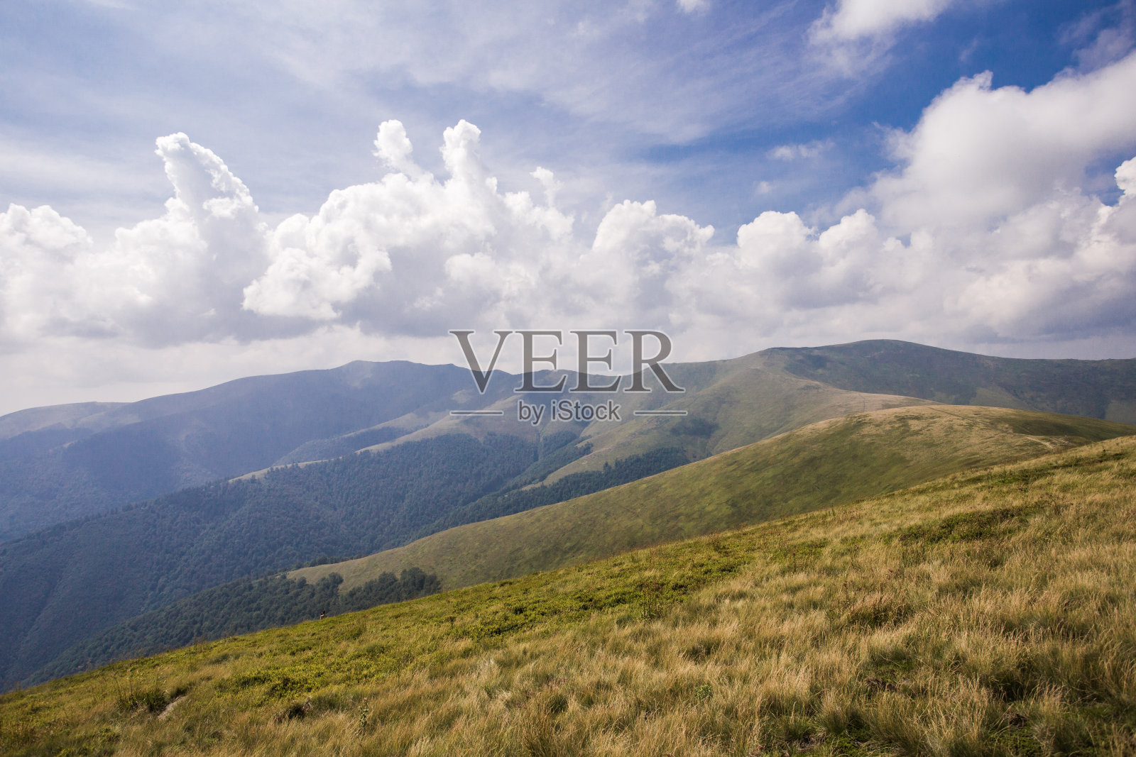 山上的草在山的背景上照片摄影图片