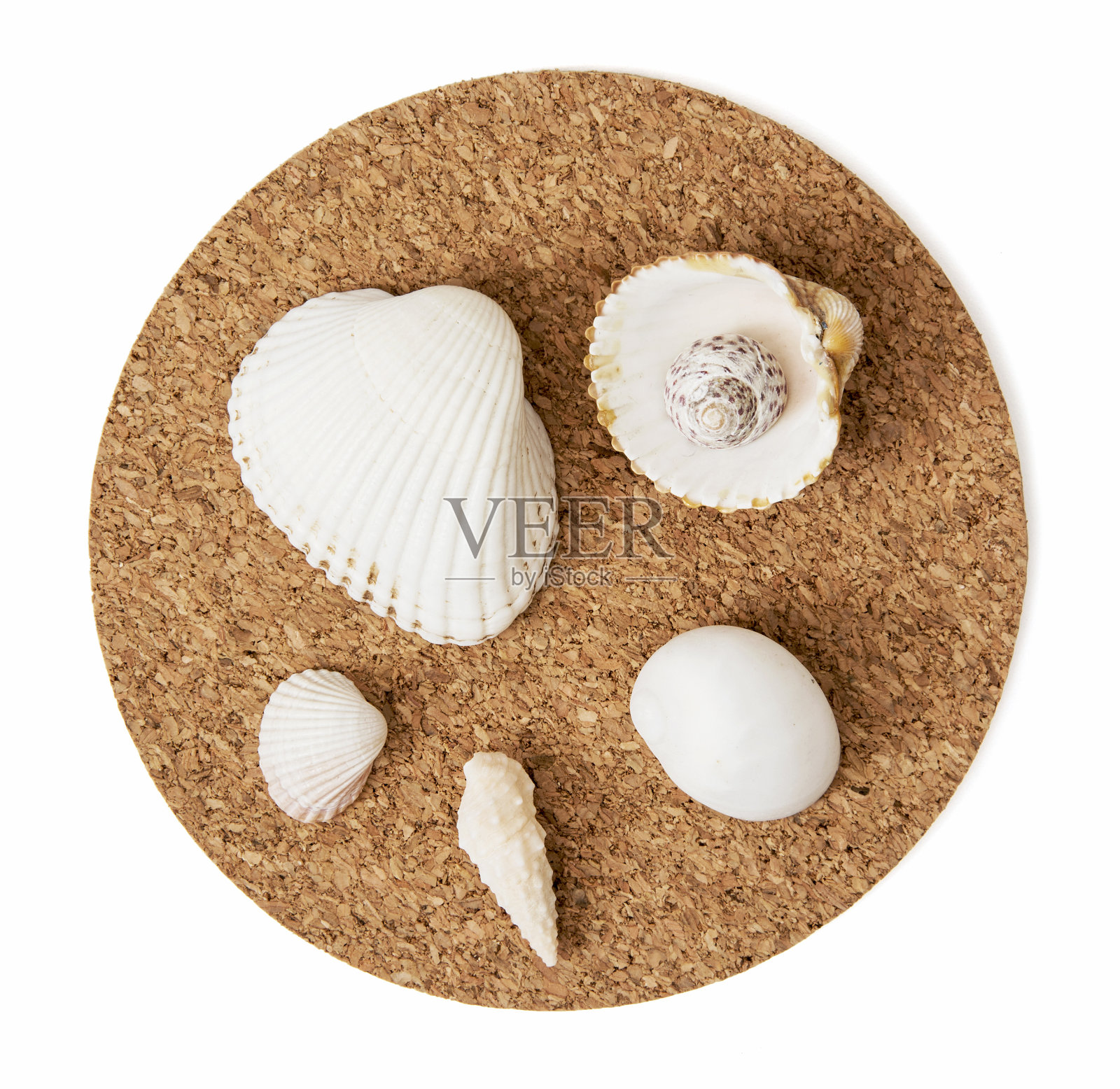 海贝混合在圆形的软木底座上照片摄影图片