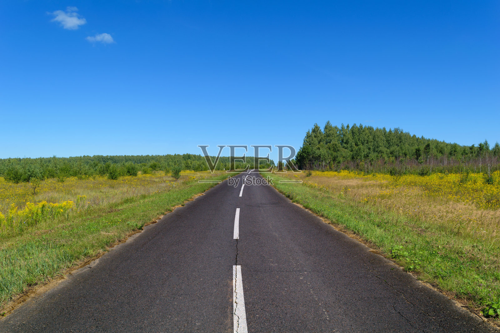 穿过草地的有标记的乡间柏油路照片摄影图片