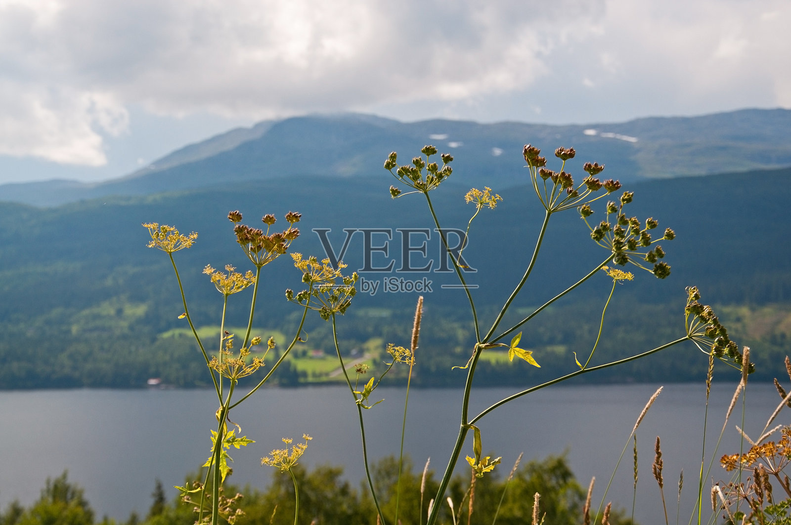 瑞典的风景照片摄影图片