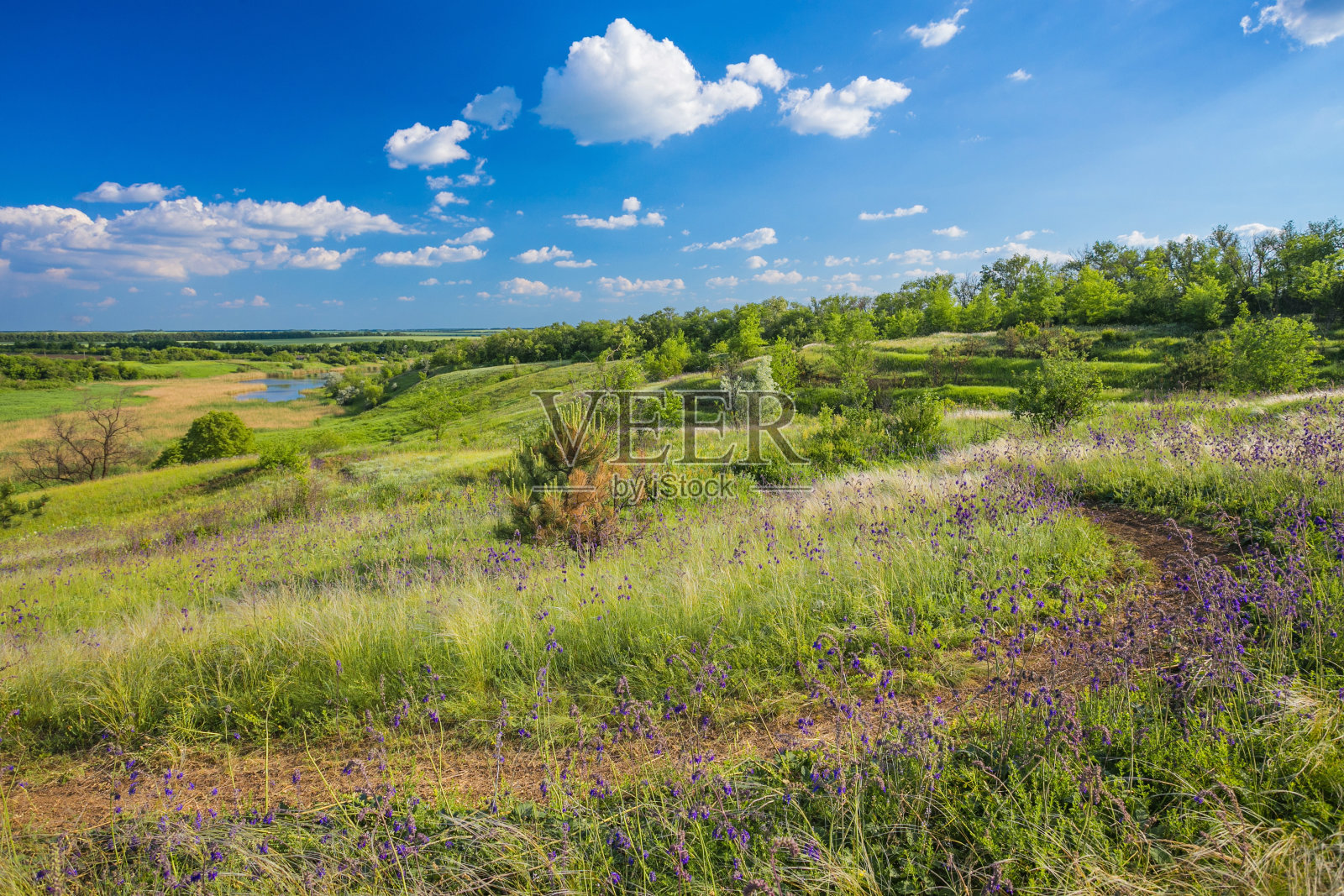 天空背景上的田野照片摄影图片