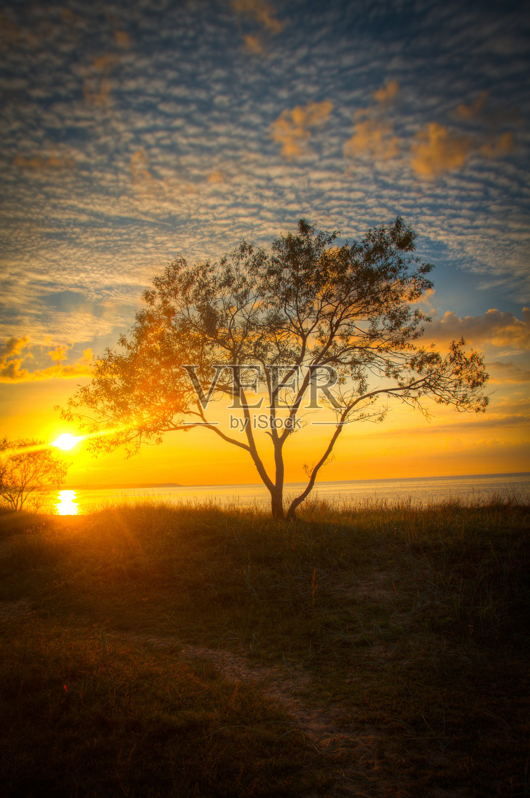 波罗的海照片摄影图片