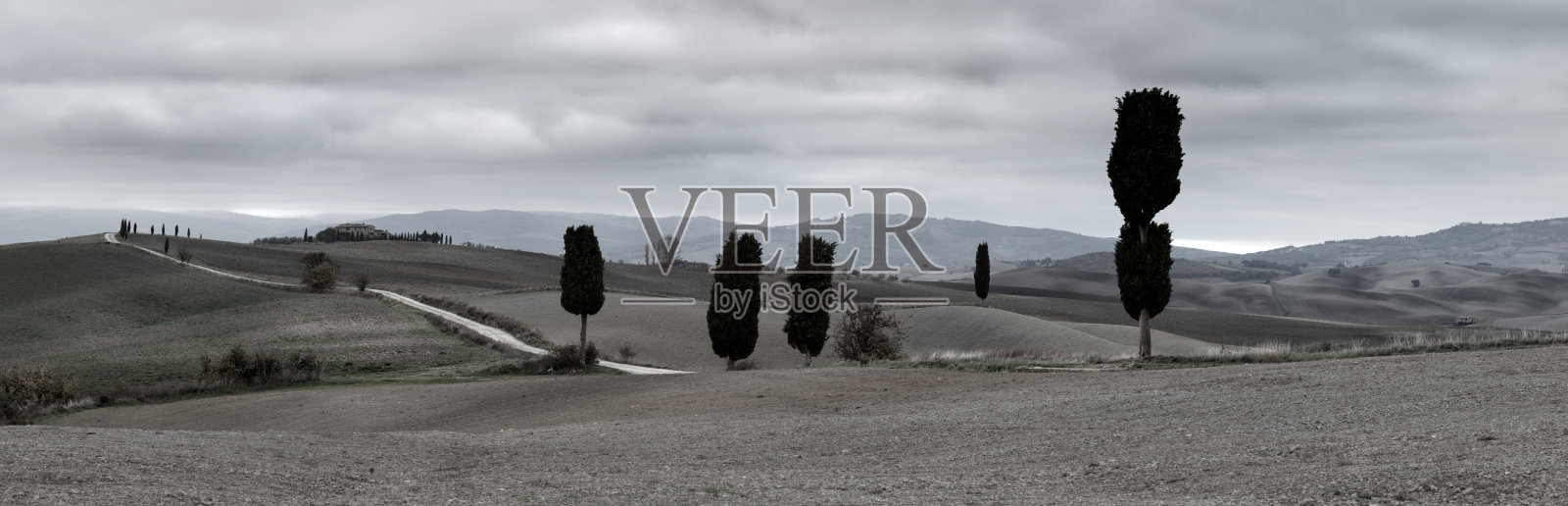 托斯卡纳的田野和丘陵全景照片摄影图片