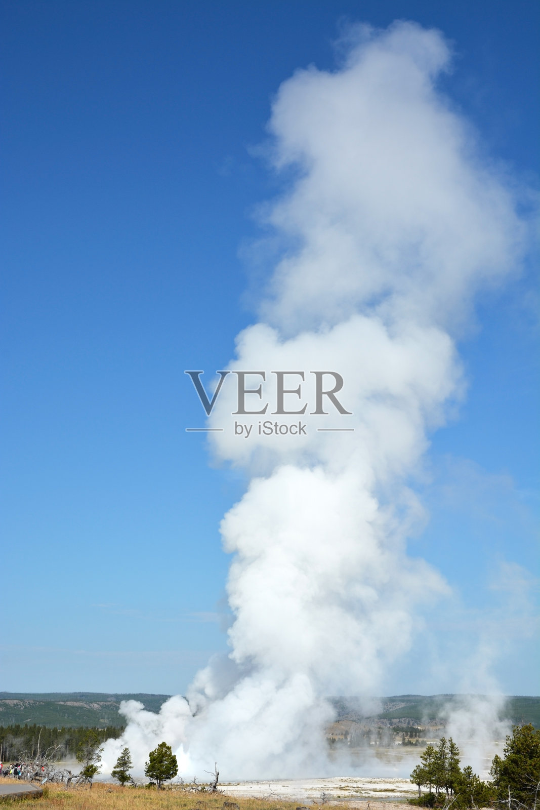 黄石国家公园的间歇泉照片摄影图片