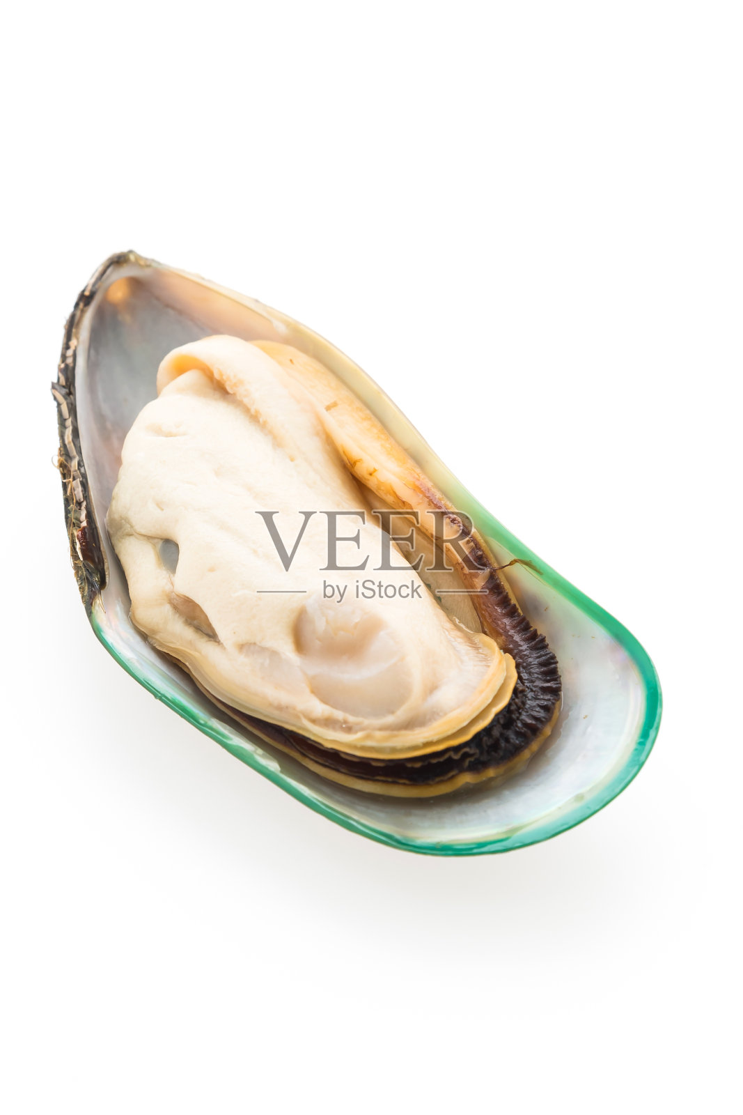 贻贝孤立照片摄影图片