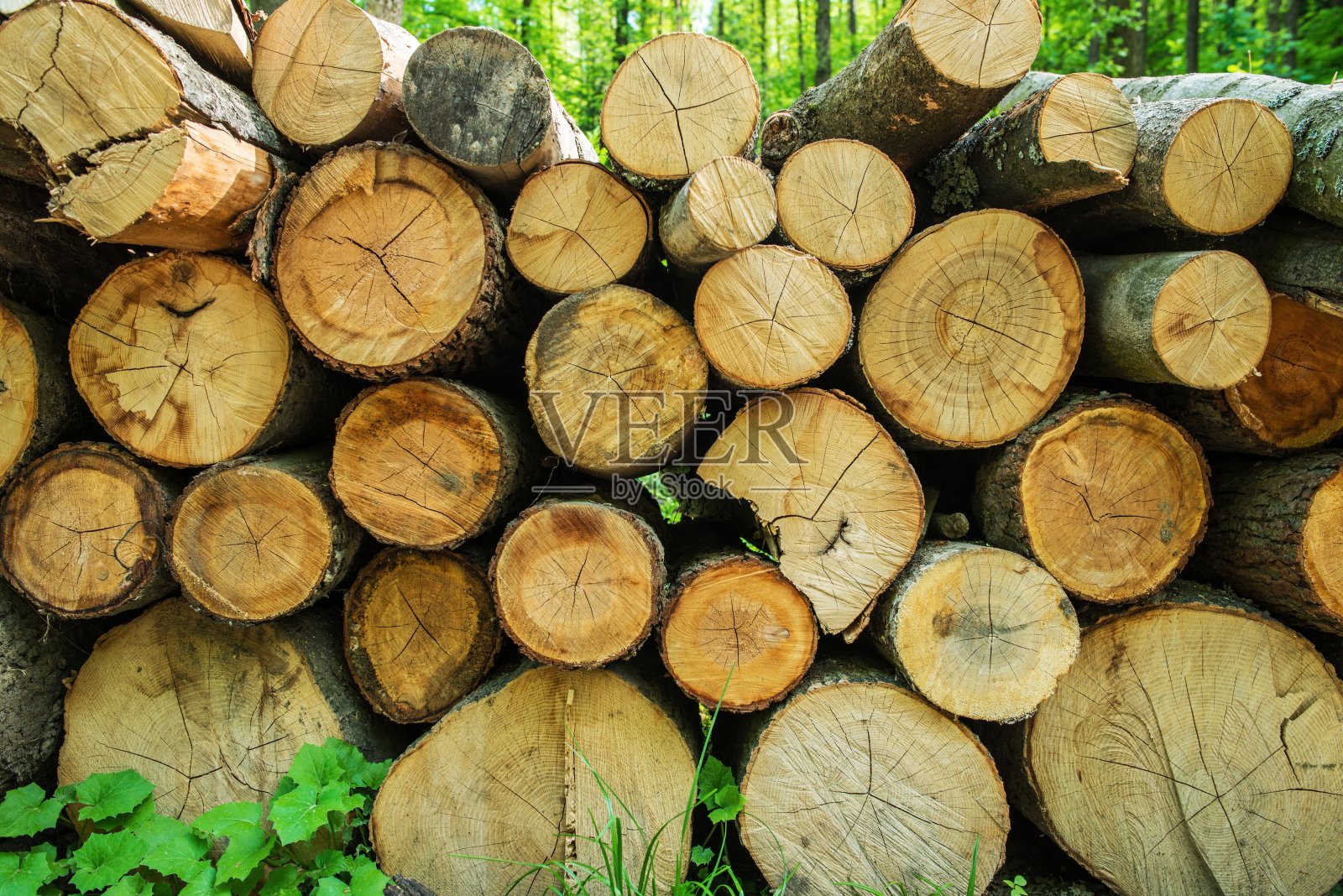 新木材堆照片摄影图片