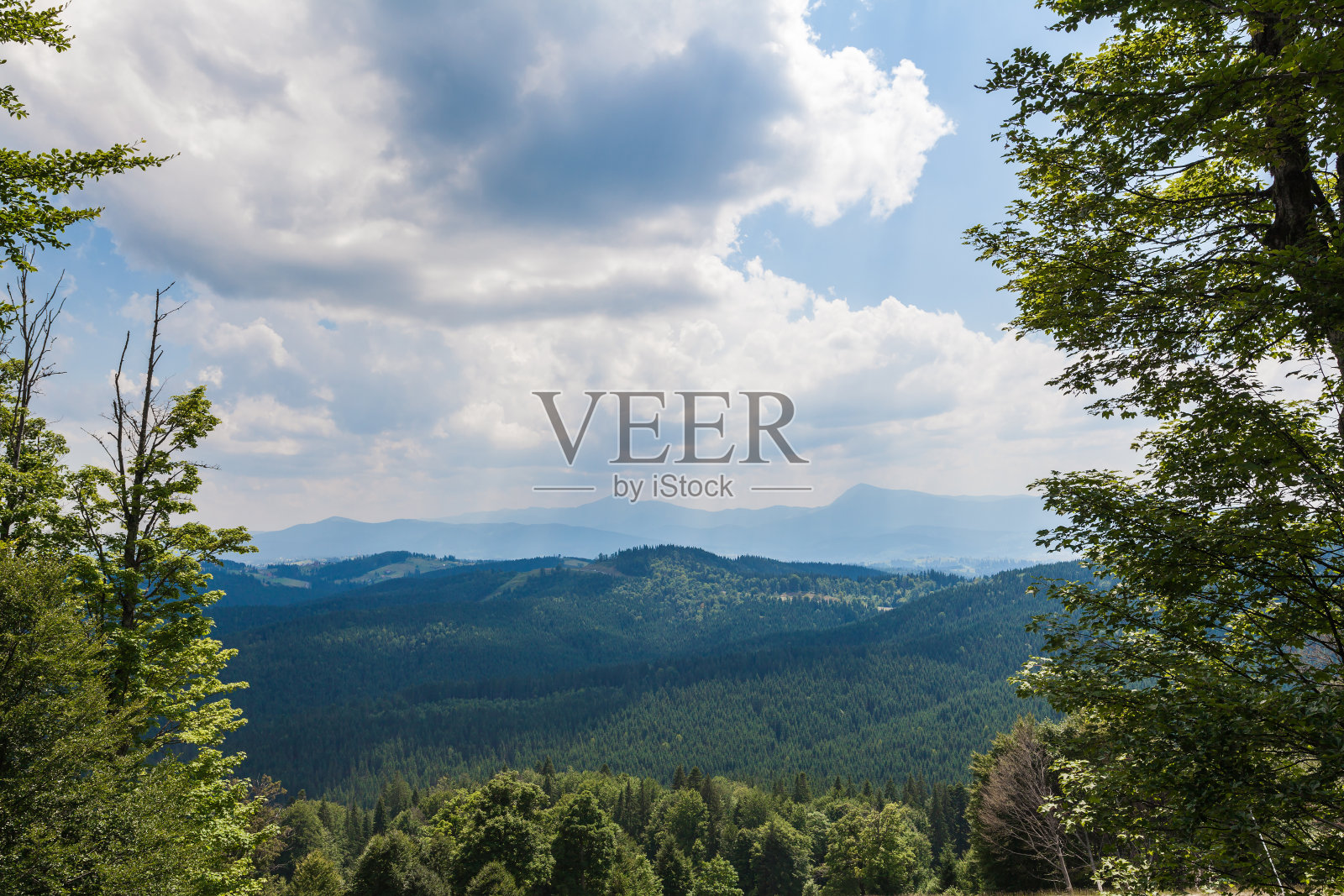 喀尔巴阡夏日美景照片摄影图片