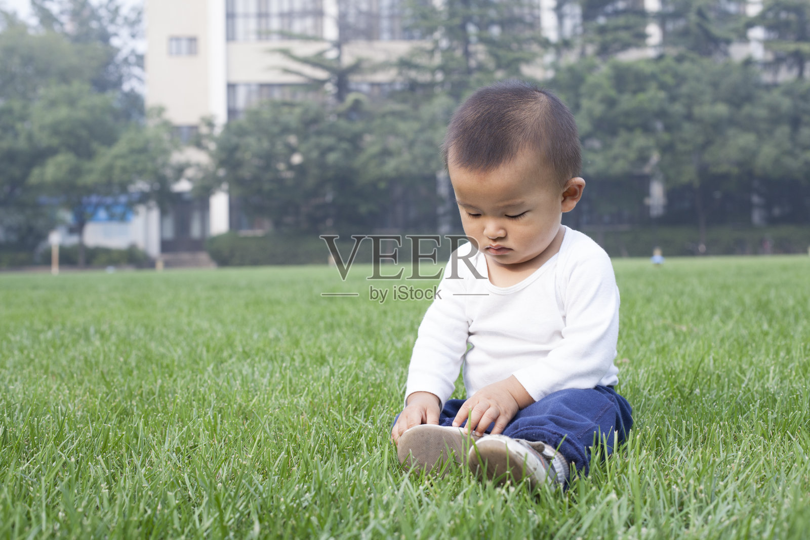 可爱的中国男婴坐在草地上照片摄影图片