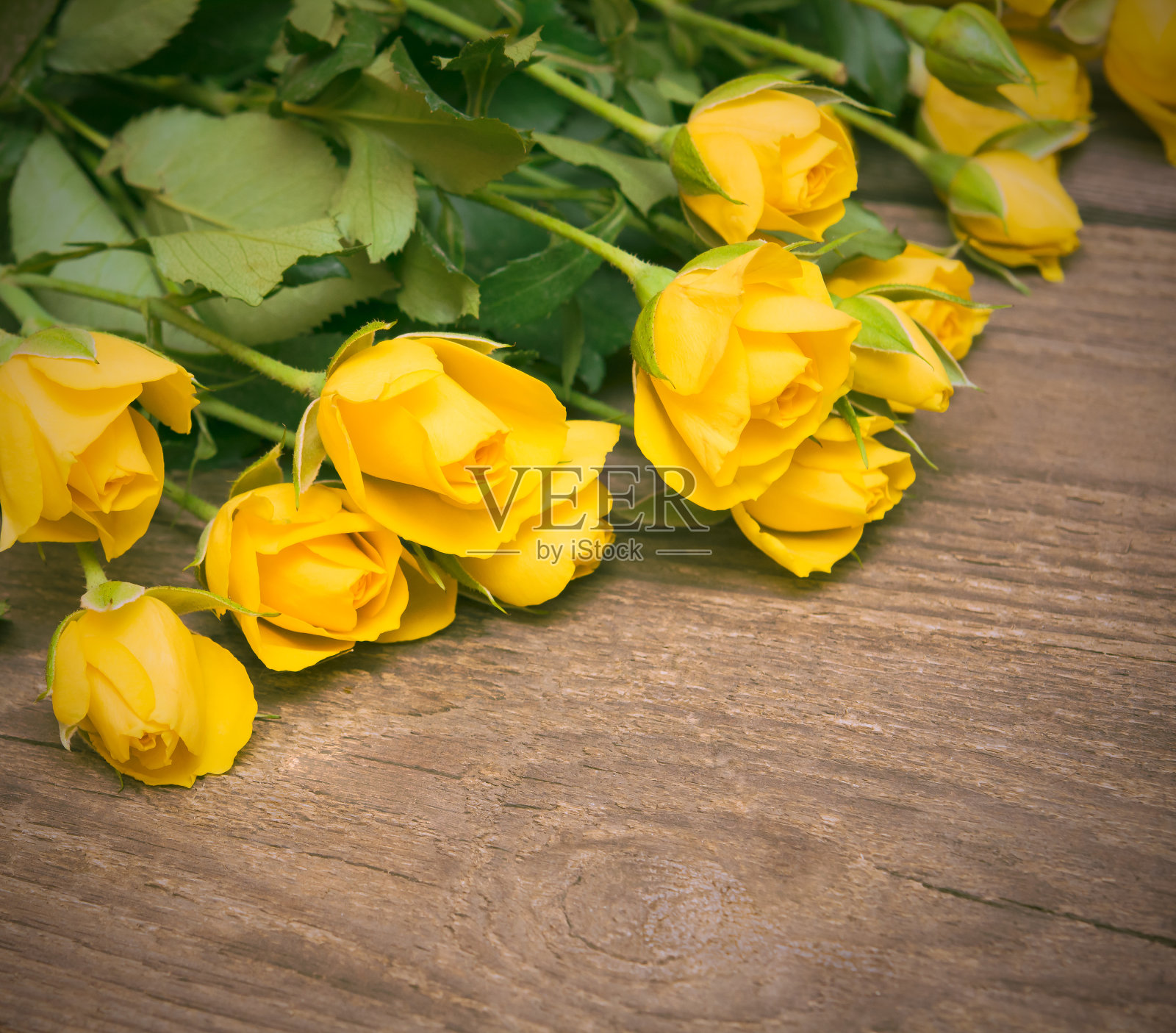 木制背景上的黄色玫瑰。女人的天照片摄影图片