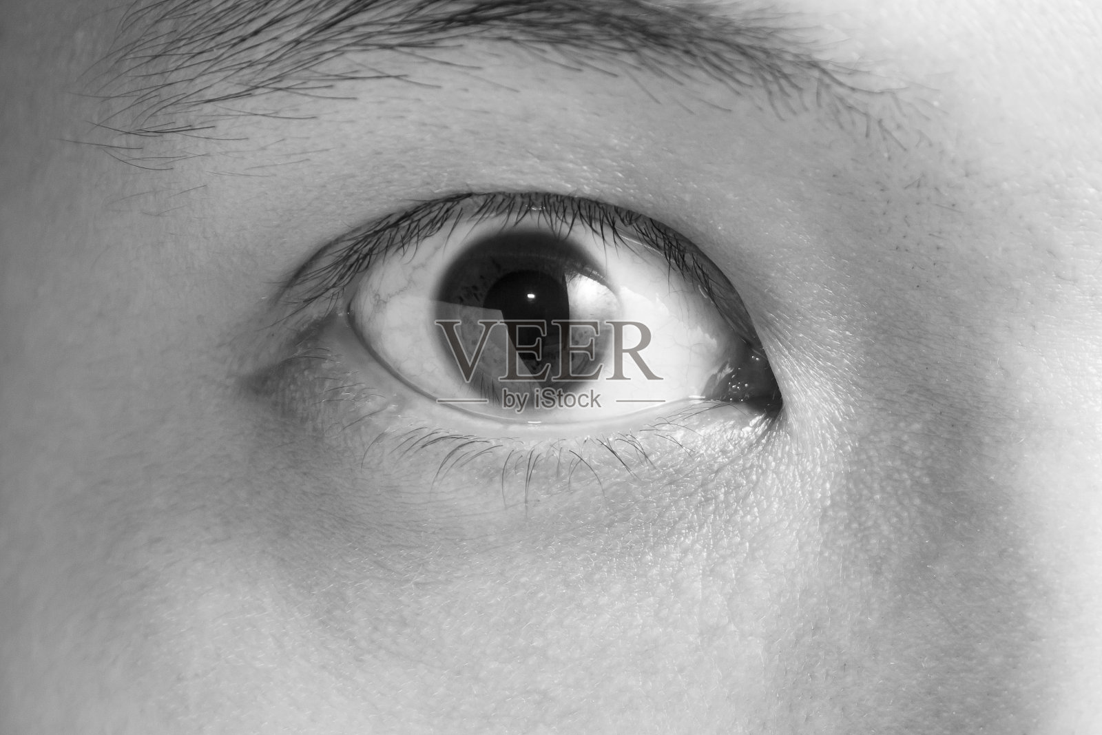 眼睛照片摄影图片