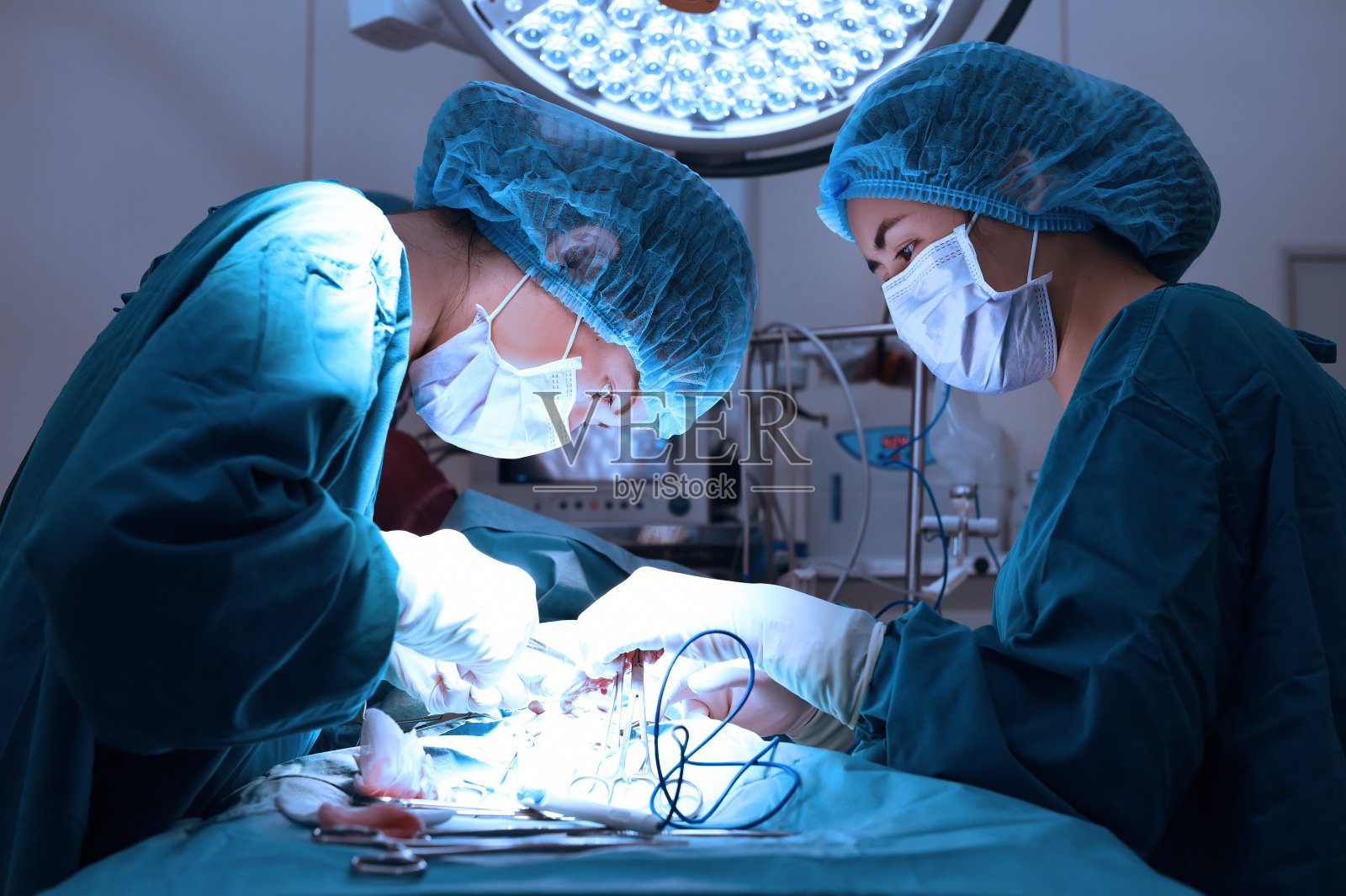 两个兽医在手术室照片摄影图片