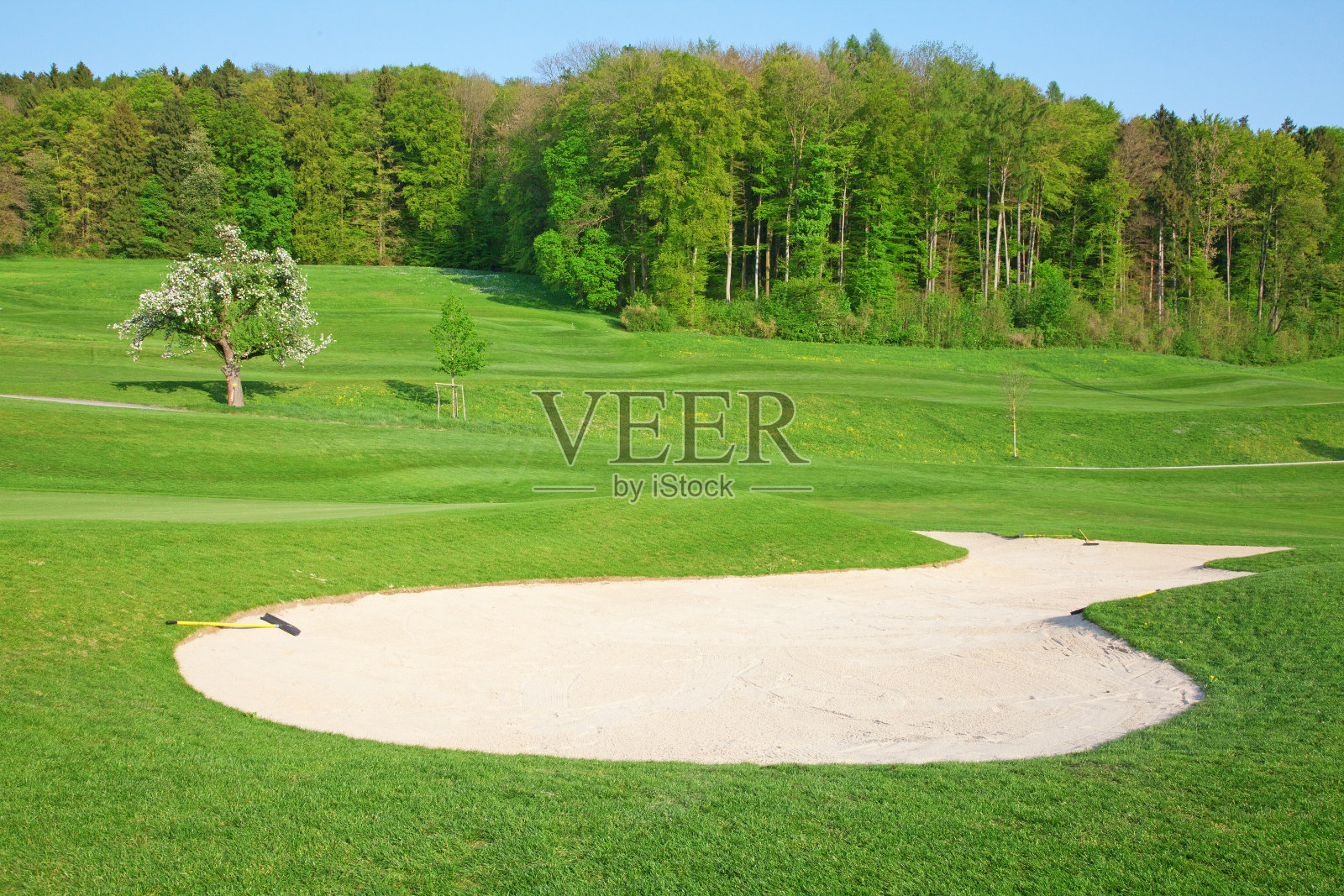 高尔夫球照片摄影图片