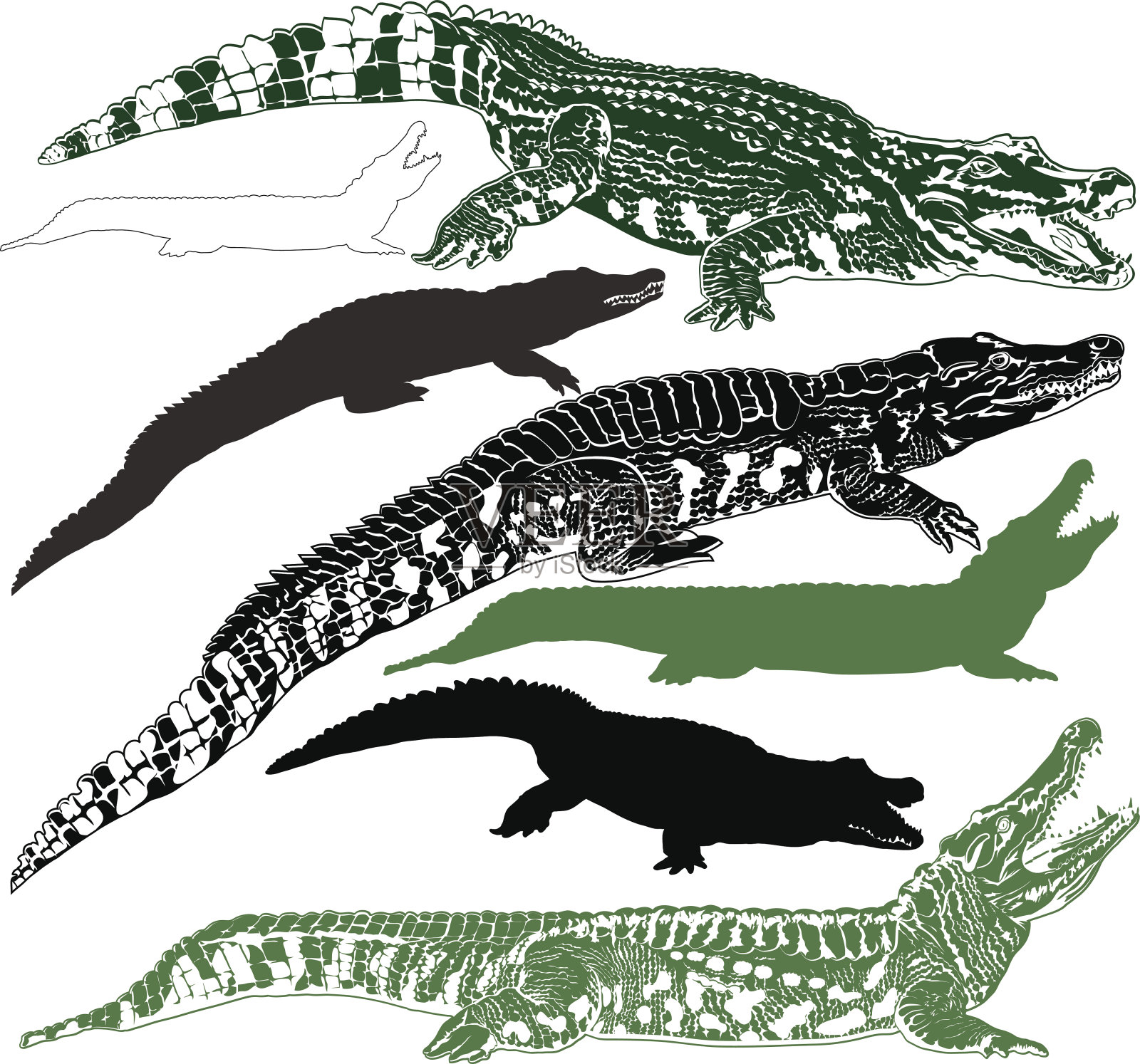 轮廓的鳄鱼设计元素图片