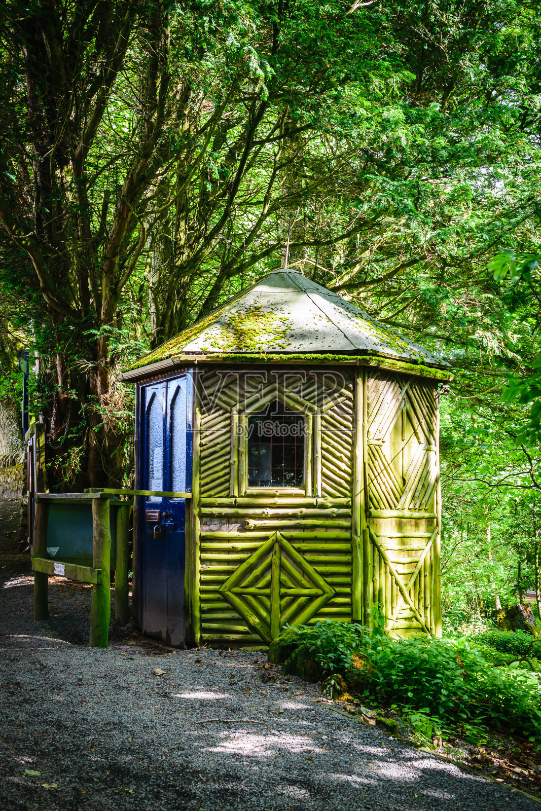 废弃的木屋在绿色的森林里照片摄影图片