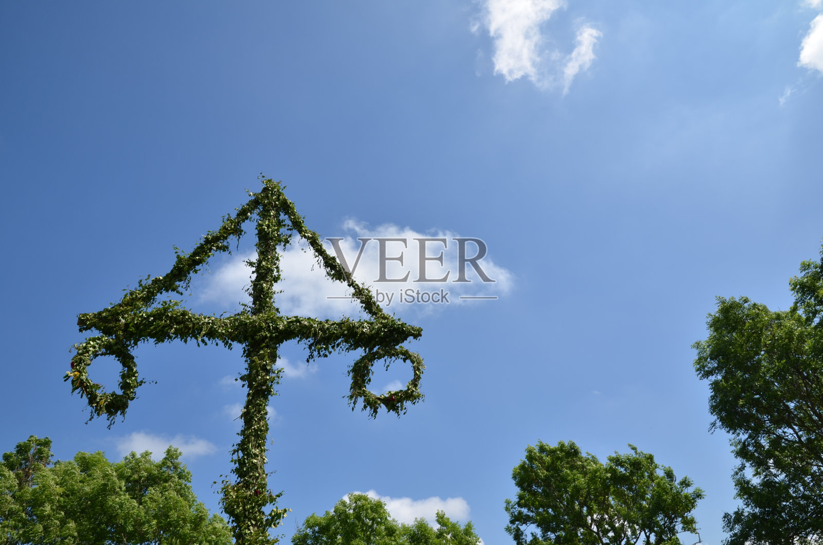 仲夏极点照片摄影图片