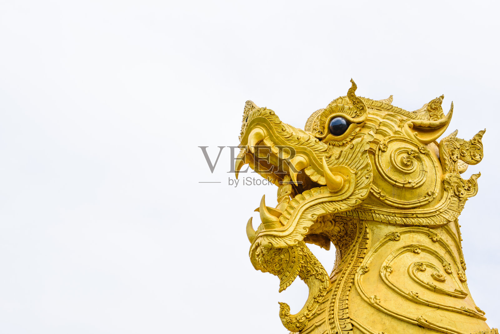 古金狮头像照片摄影图片