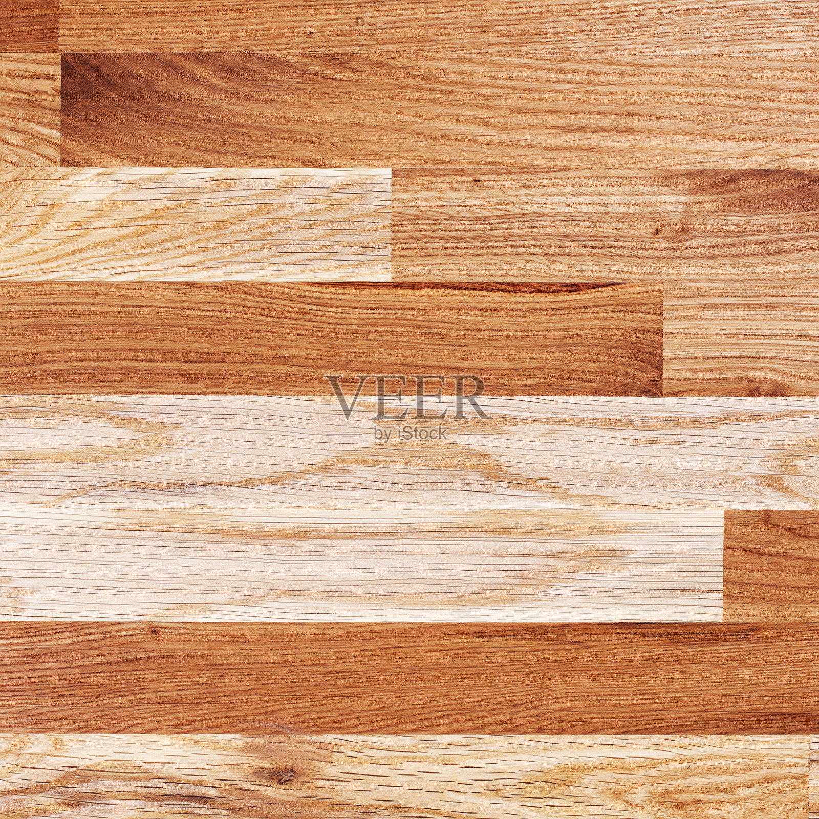 橡木-自然背景照片摄影图片