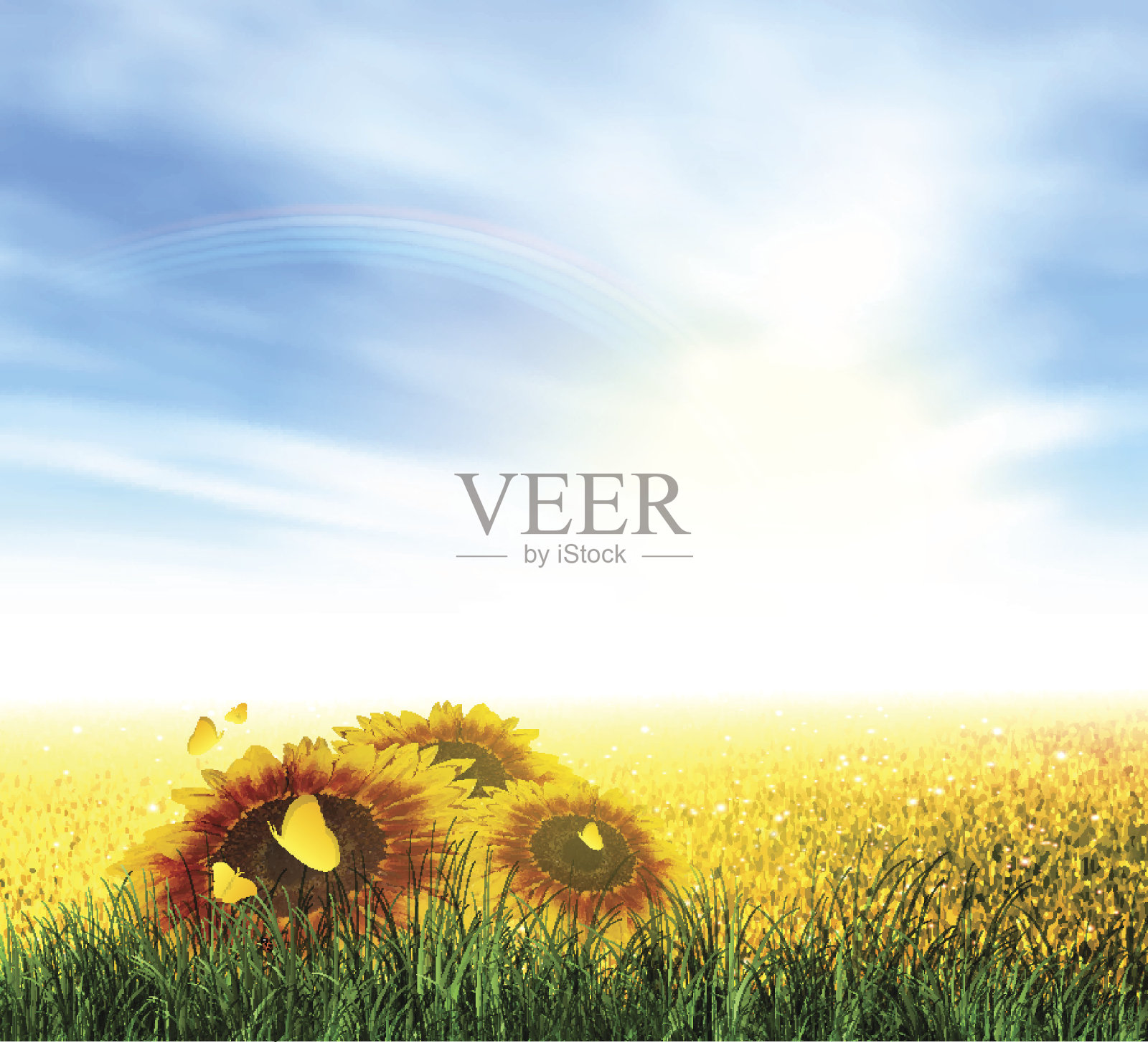 夏天，田野，天空，太阳，彩虹，草，向日葵插画图片素材