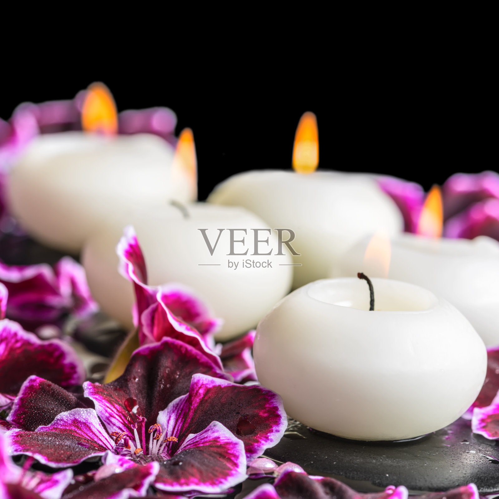 美丽的温泉静物盛开的深紫色天竺葵花照片摄影图片