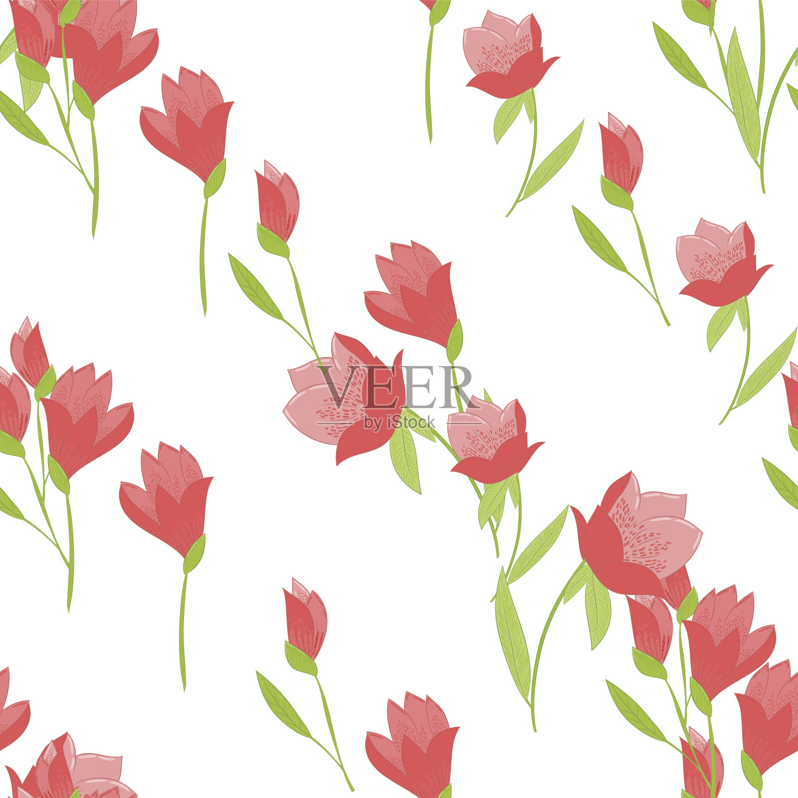 无缝图案与郁金香插画图片素材