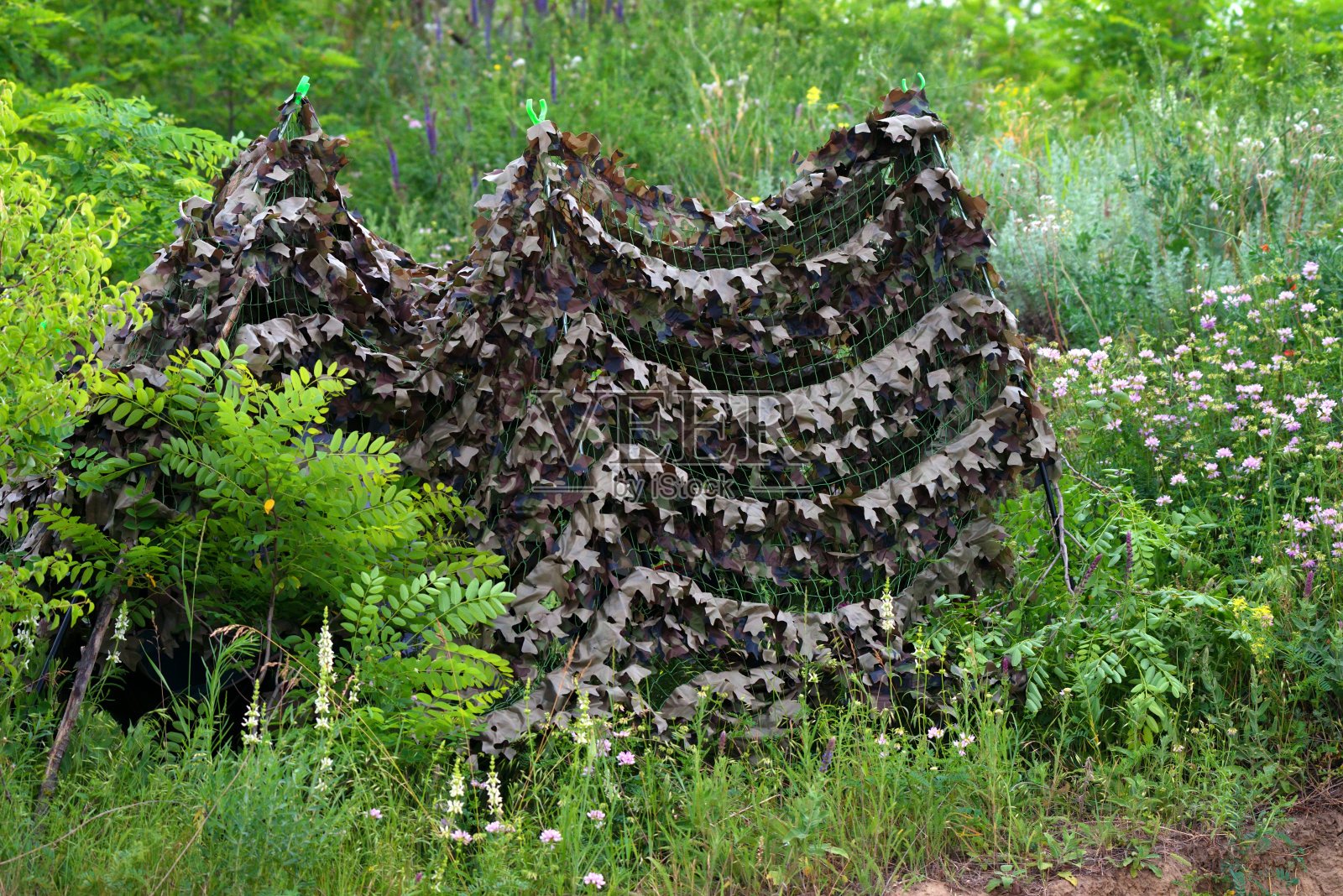 为伏击而伪装的帐篷照片摄影图片