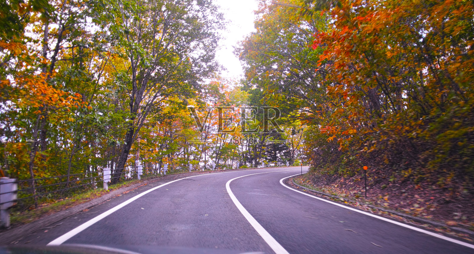 从车载摄像头拍摄的草枯Shirane路景观照片摄影图片