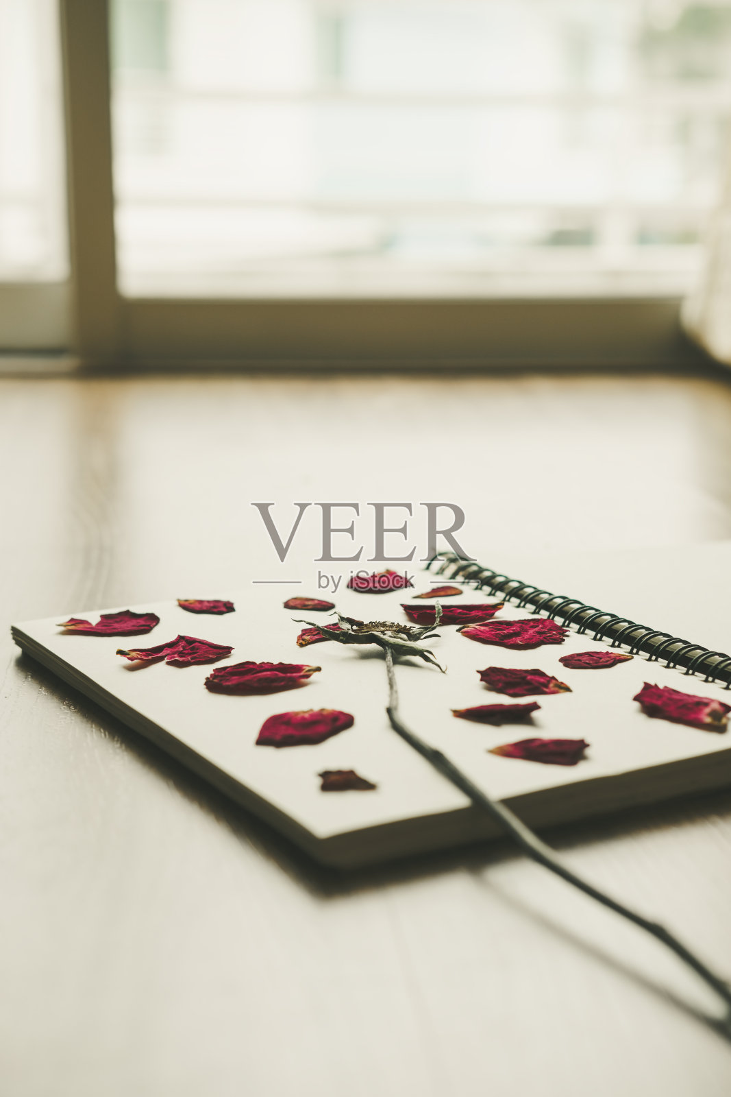 压榨干玫瑰花在笔记本，复古色调照片摄影图片