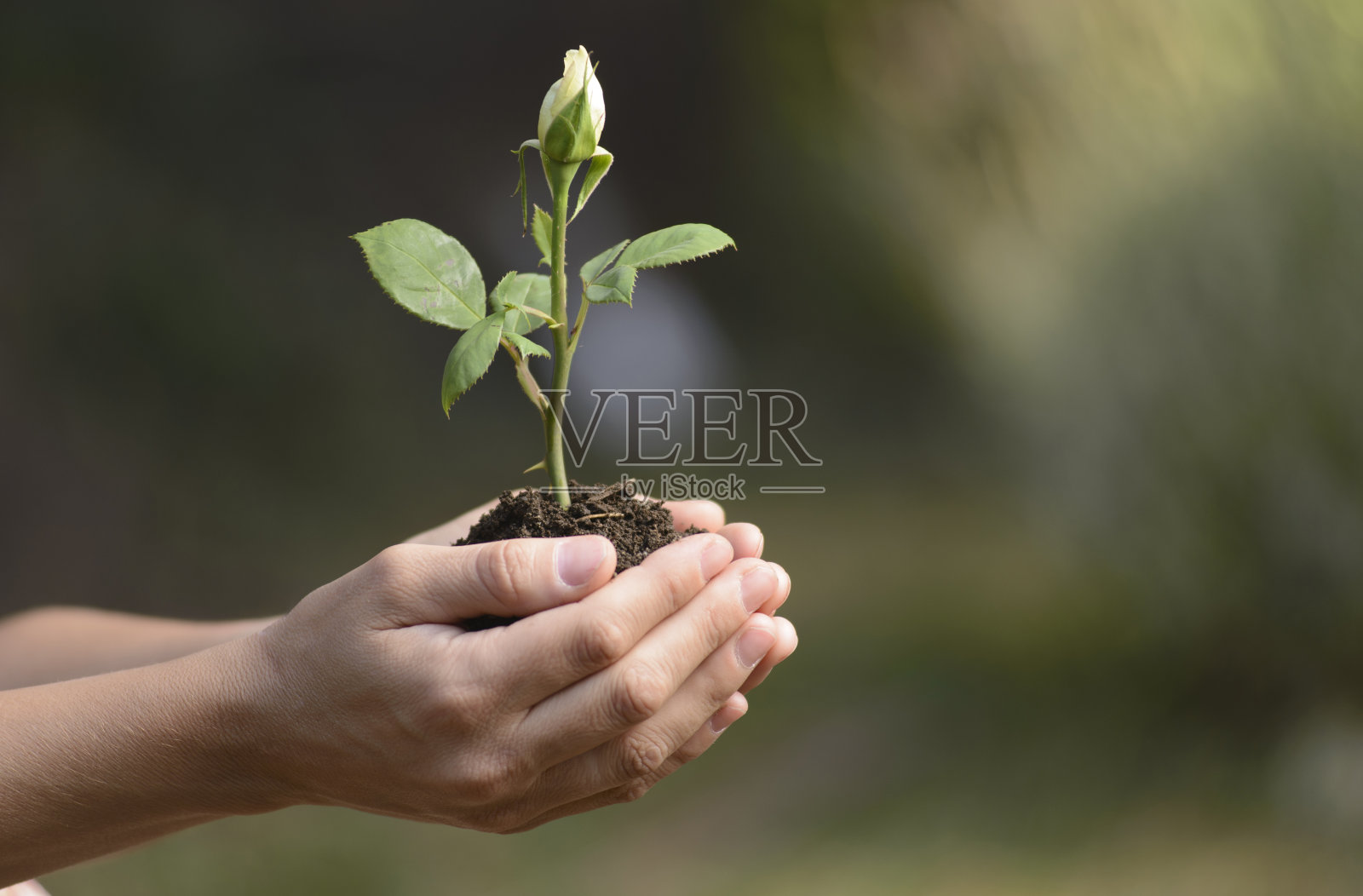 智慧照片摄影图片