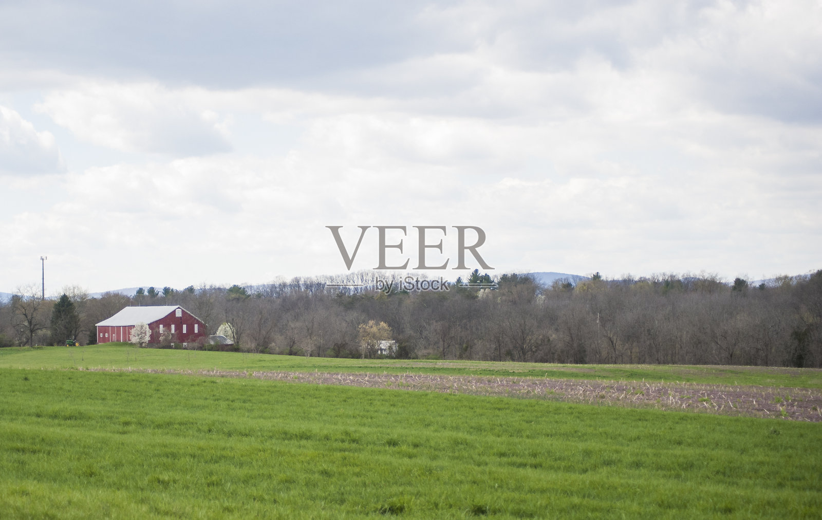 战场上照片摄影图片