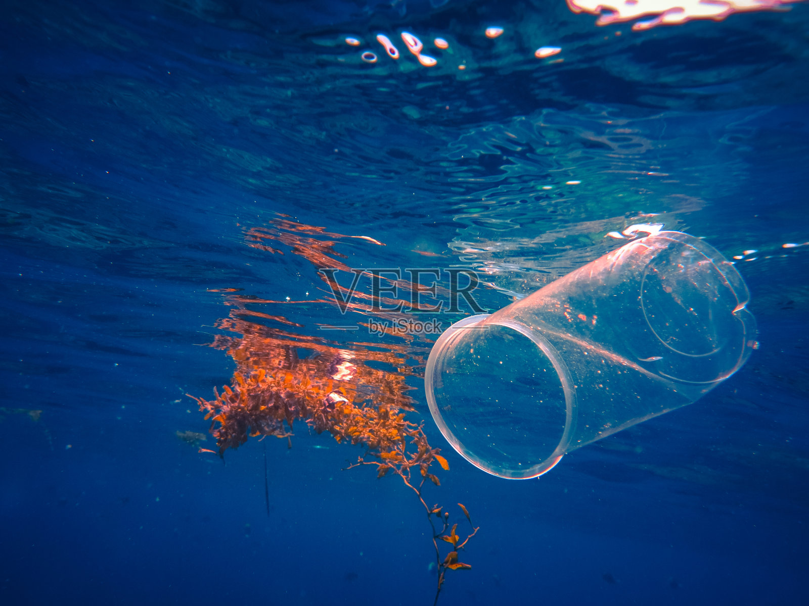 塑料海洋污染海洋景观全球环境问题照片摄影图片