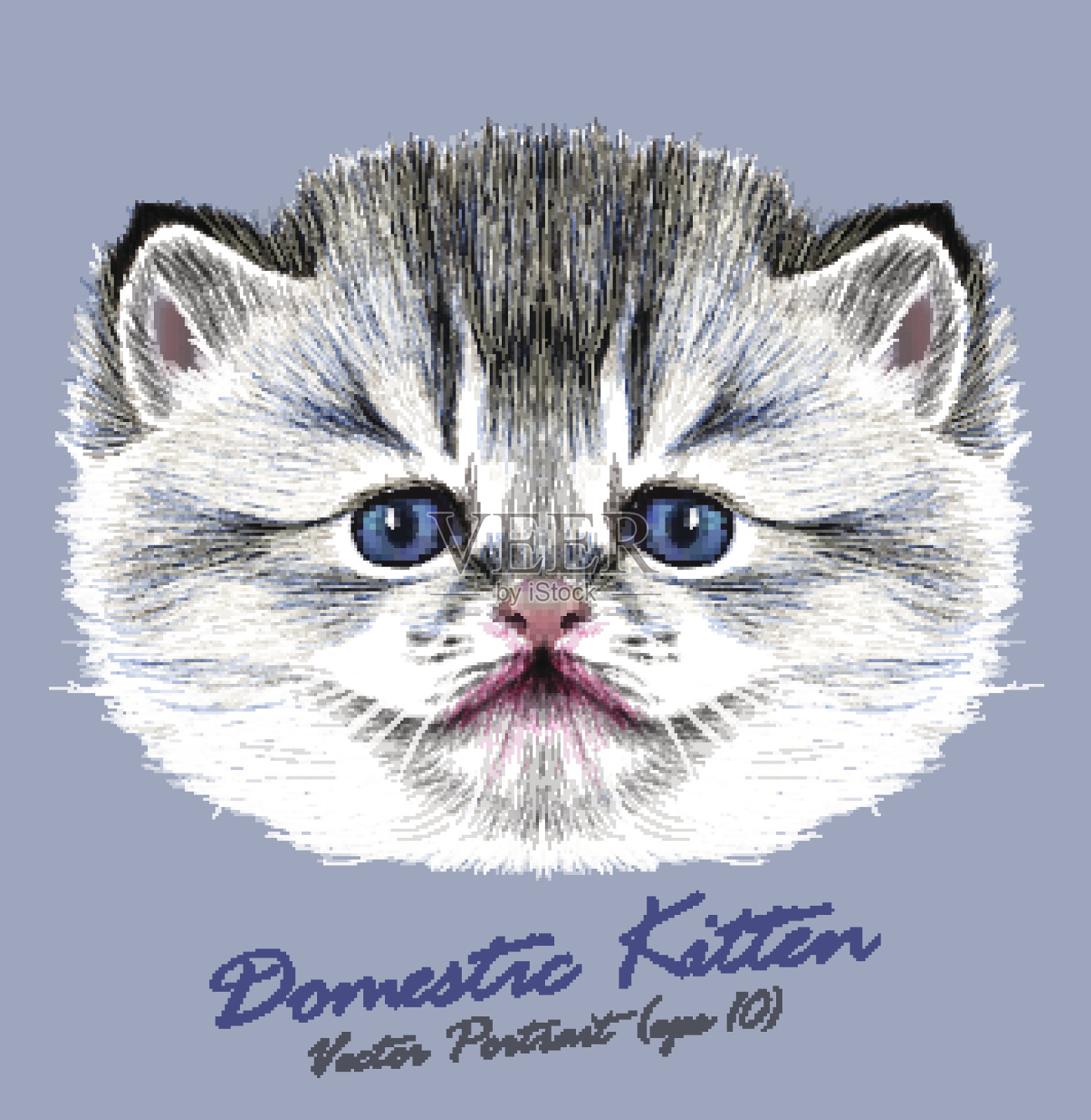 向量肖像的家猫插画图片素材