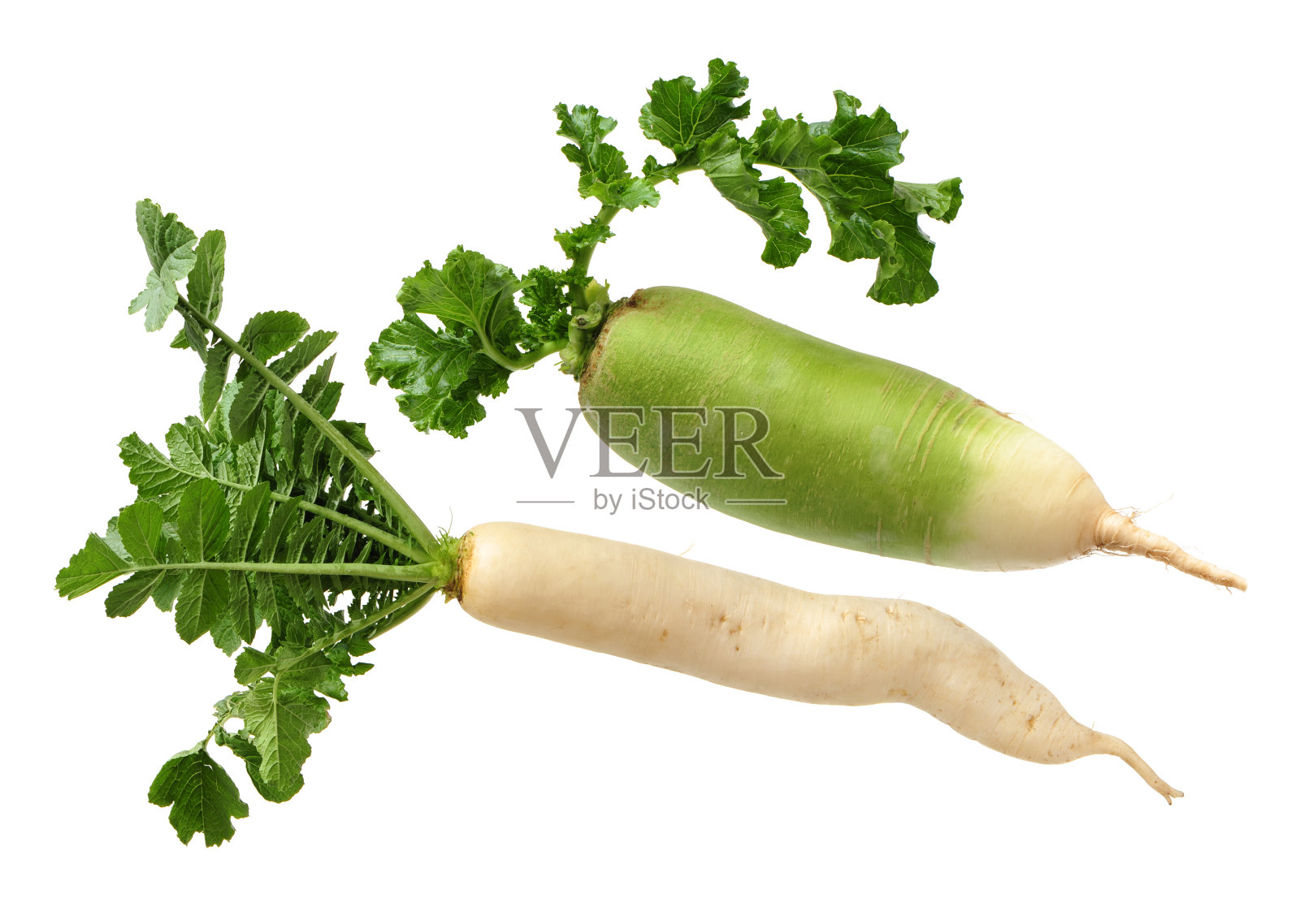 萝卜照片摄影图片