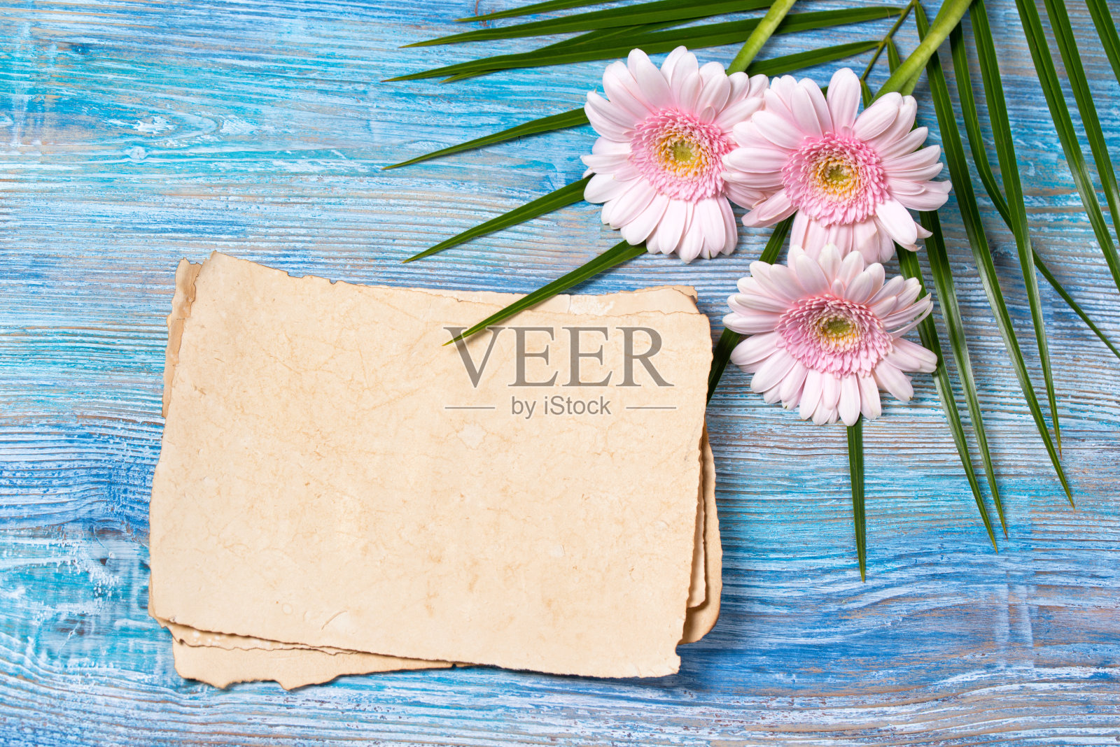 贺卡与空白纸和粉红色非洲菊雏菊花照片摄影图片