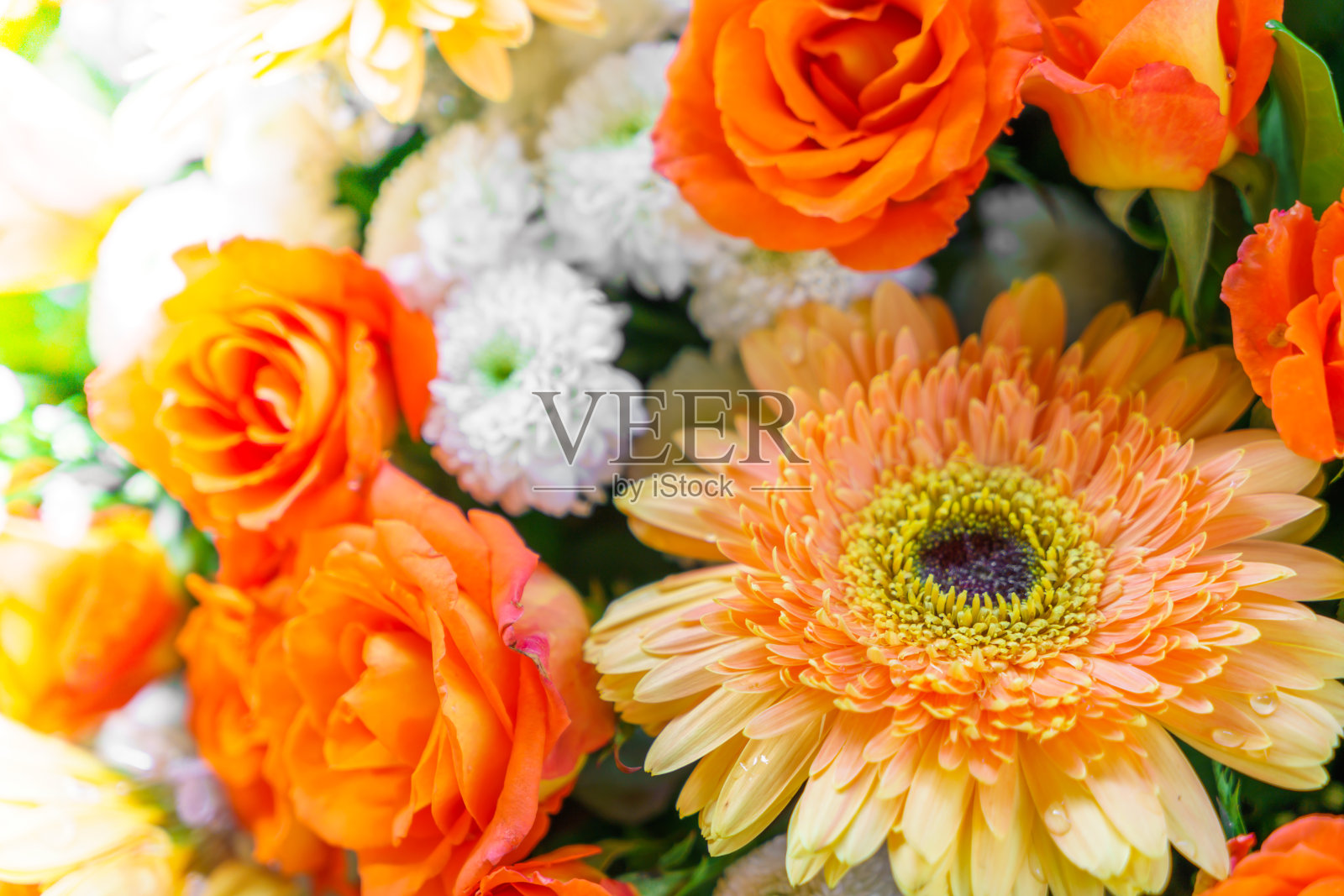 美丽的花朵照片摄影图片