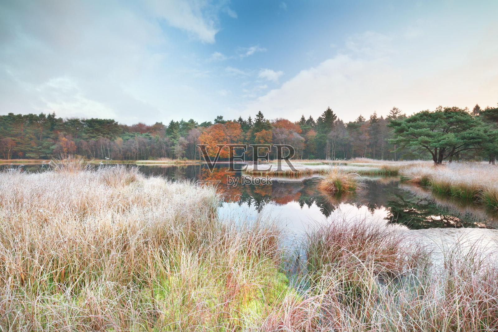 秋天湖面上结霜的早晨照片摄影图片