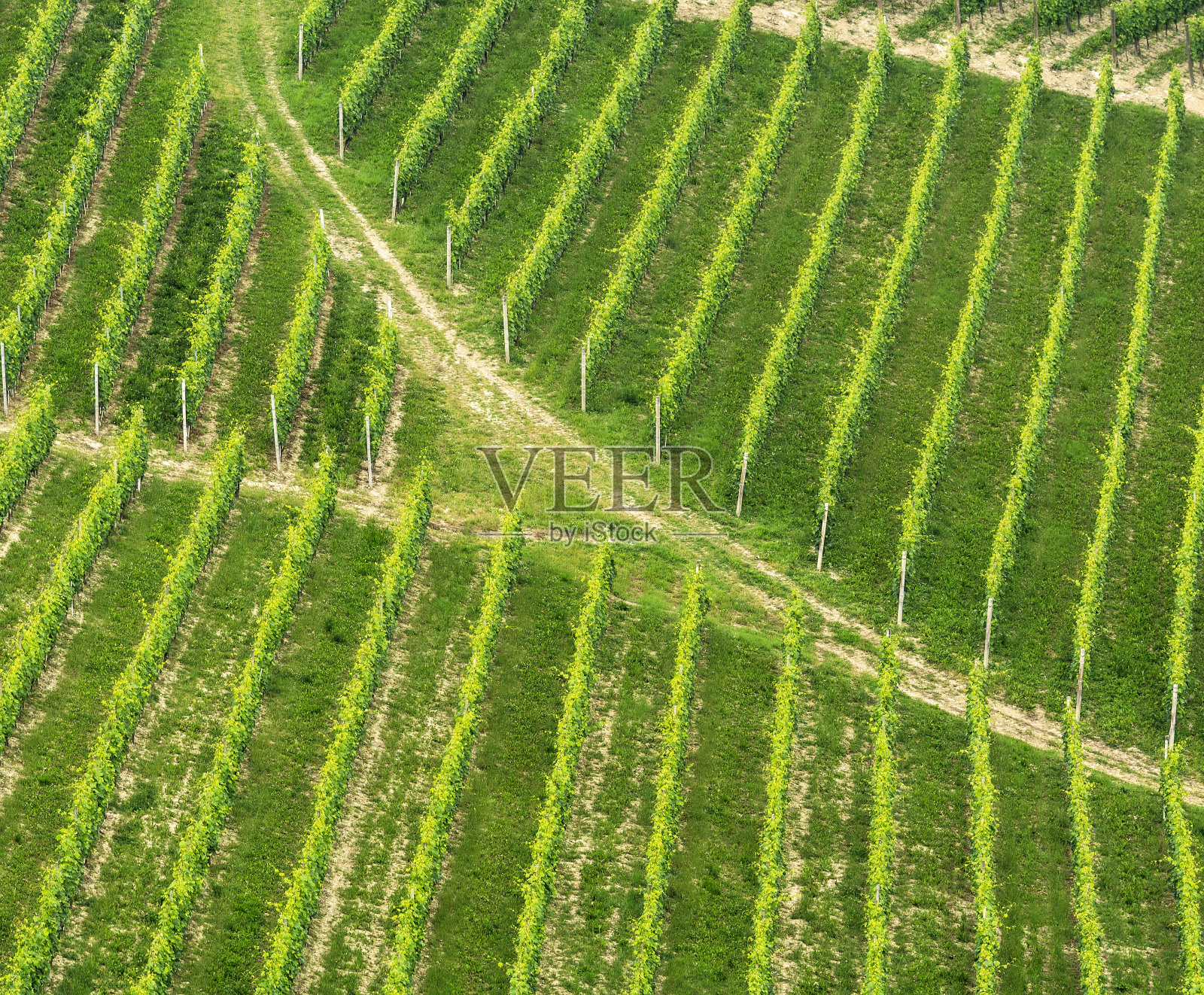 朗和景观(山前)照片摄影图片