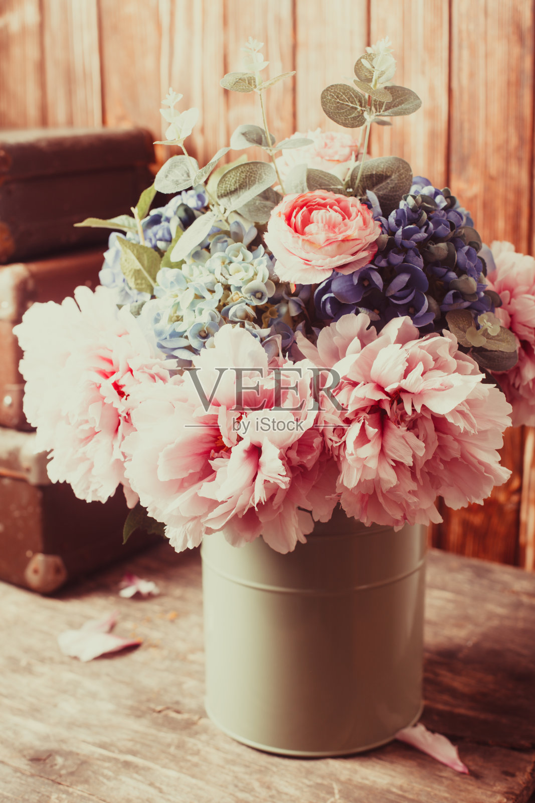 的静物照片摄影图片