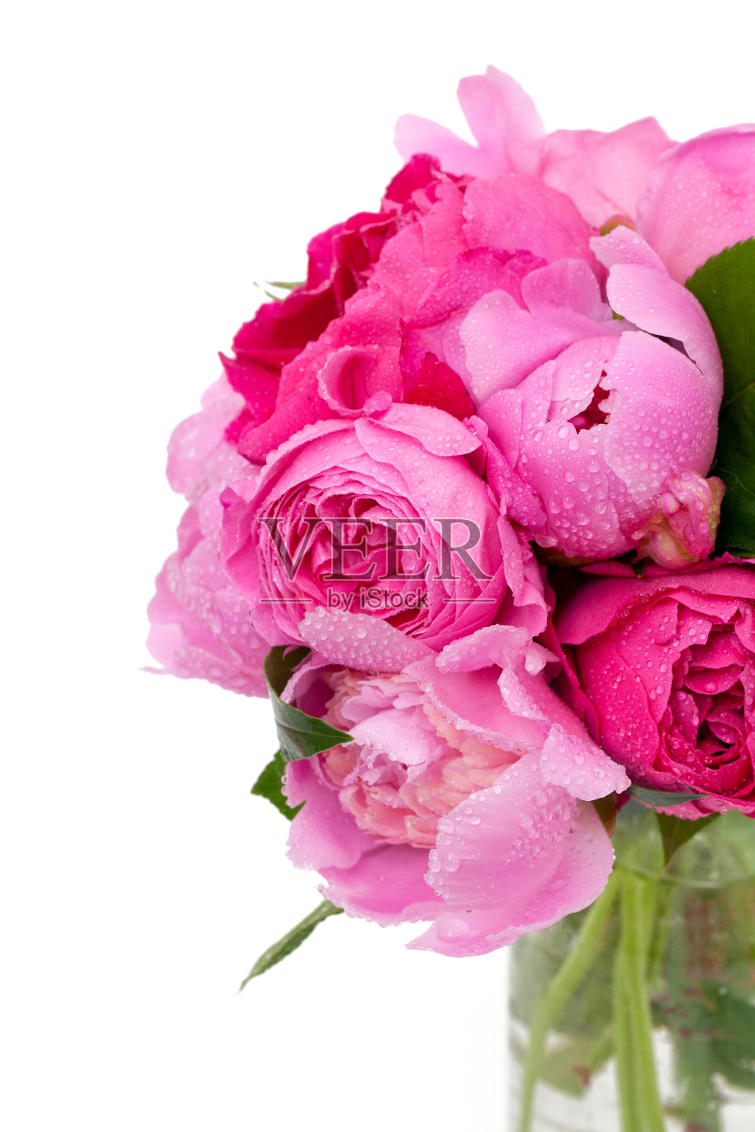 一束玫瑰和牡丹照片摄影图片